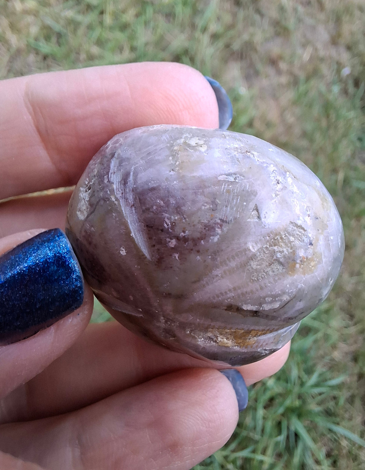 Polished Sea Urchin, Fossil (Ref: SU6)