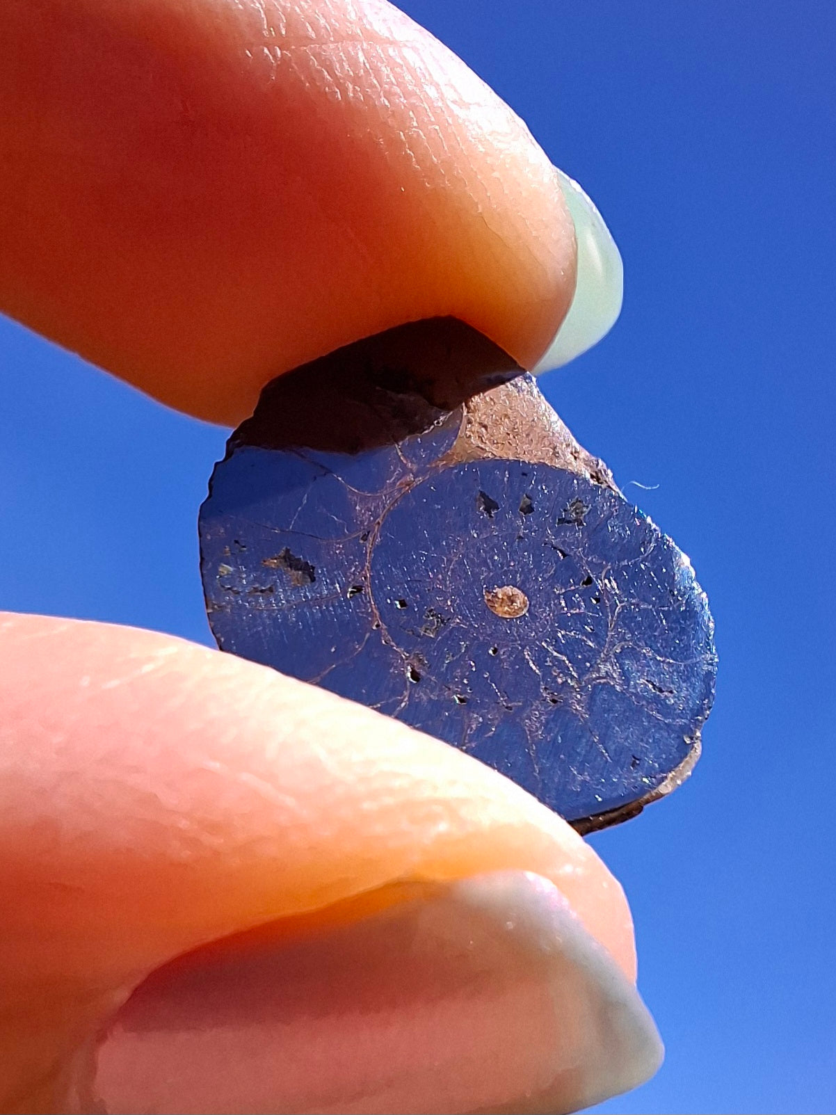 Small Haematite Ammonite HALF, 1.36g, Fossil (Ref: MA12)