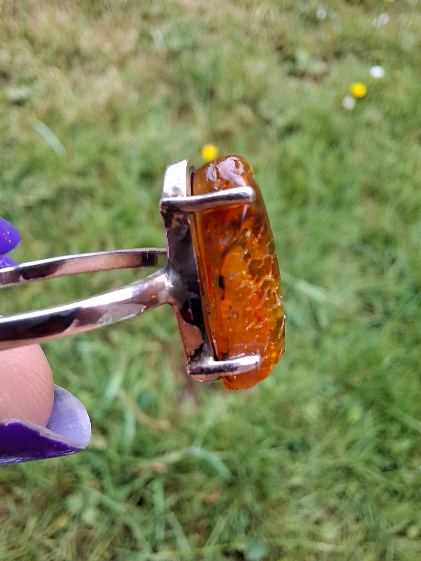 Baltic Amber Ring, size large Y, 925 Silver, Fossil (Ref: AR22)