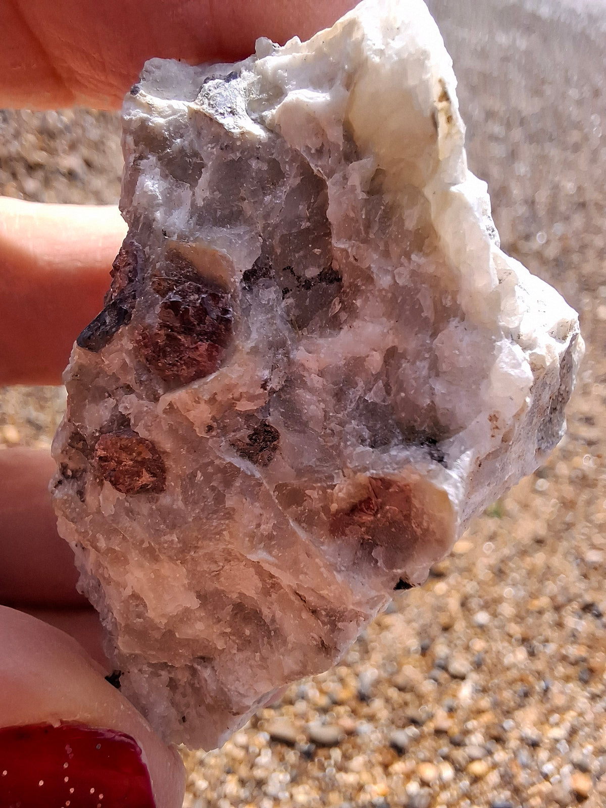 (Dig your own) Garnet in Matrix, Crystal (Ref: RG3)