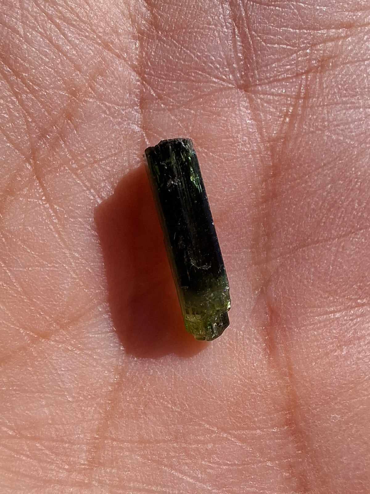 Diopside, 0.52g, Crystal (Ref: DIO1)