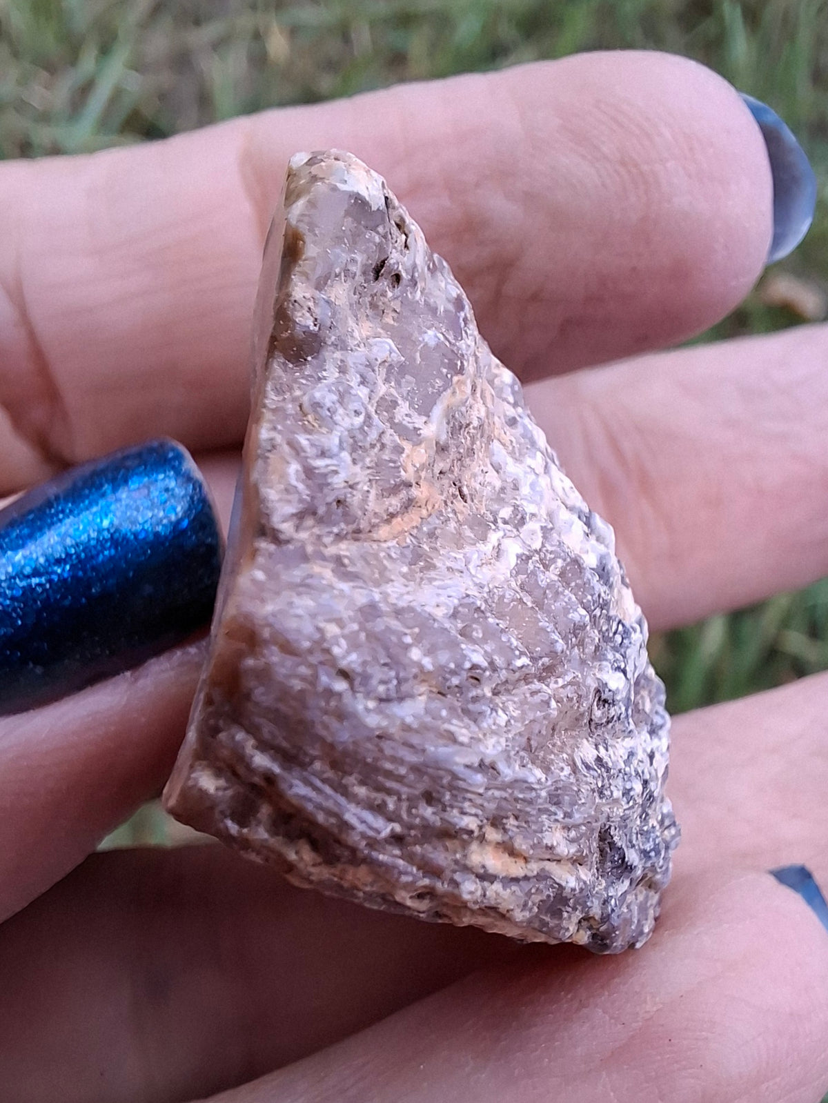 Chalcedony Oyster, Fossil (Ref: FO7)