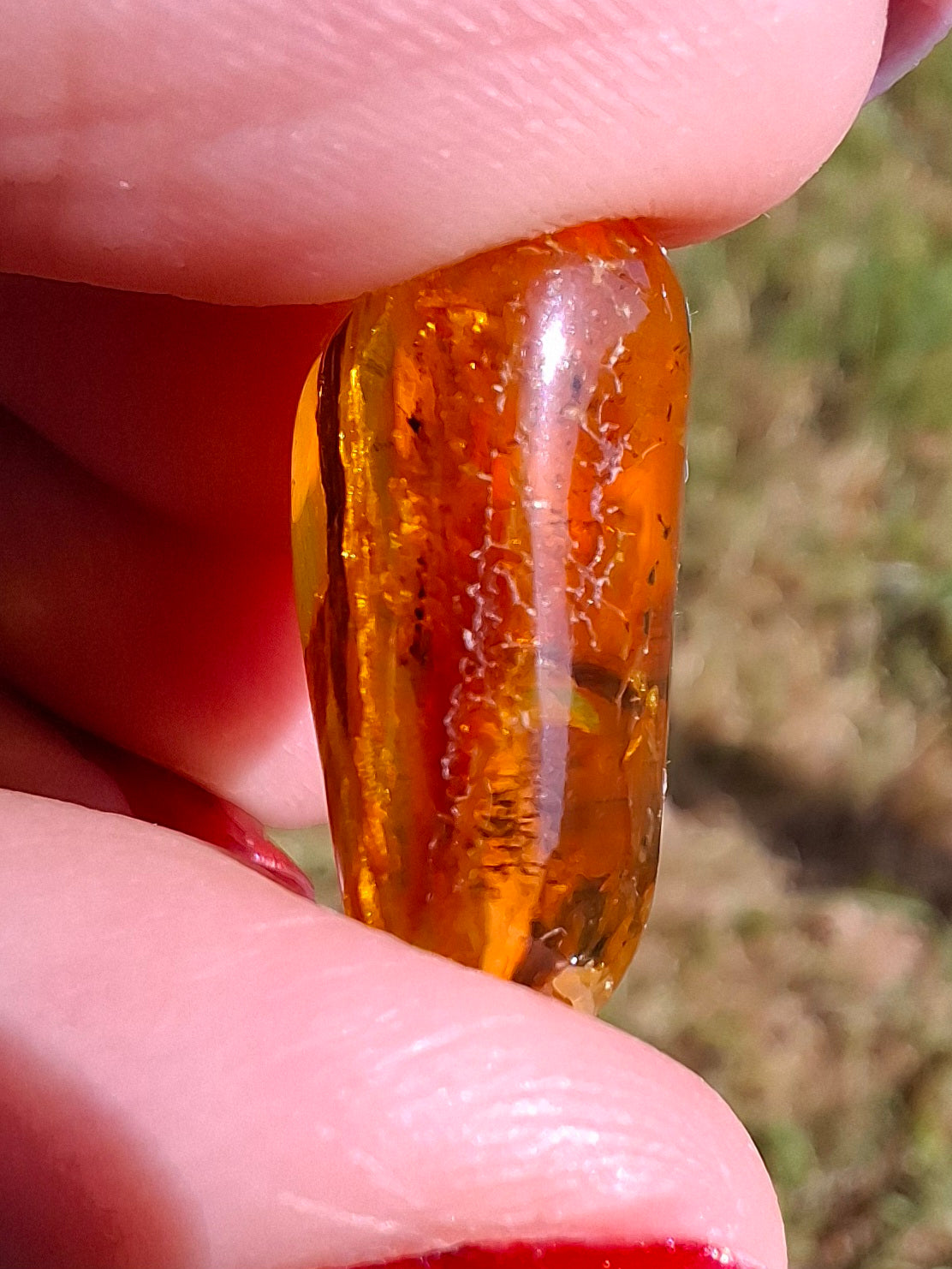 Baltic Amber, 1.61g, Fossil (Ref: A186)