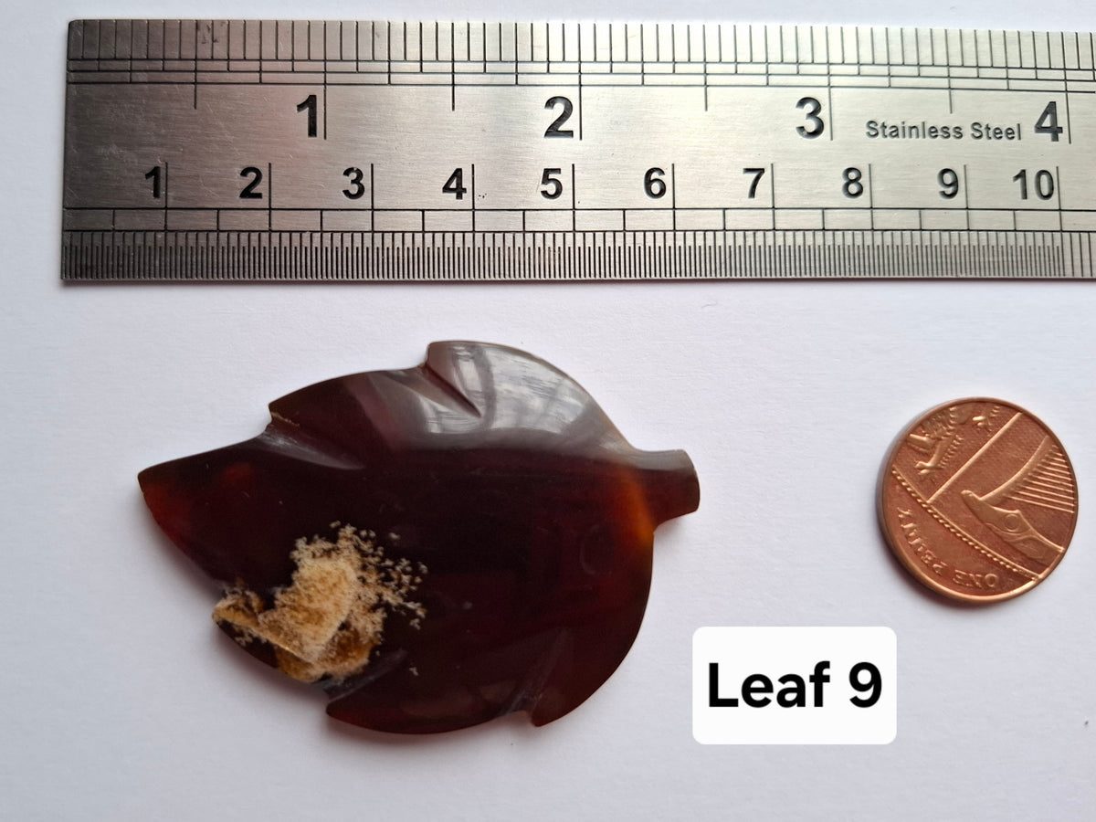 Red Amber Leaf Carving, 7.65g, Fossil (Ref: Leaf9)