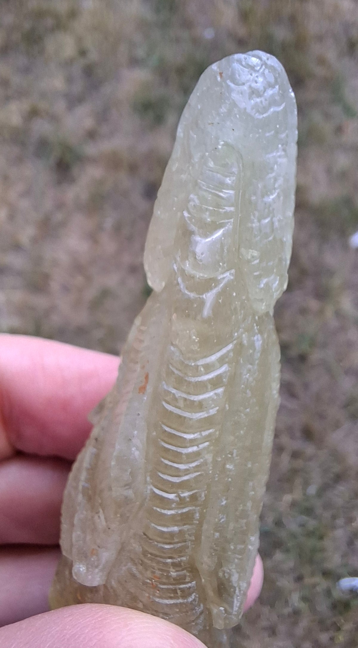 Libyan Desert Glass DRAGON HEAD carving, 48.11g, Tektite (Ref: Dragon4)