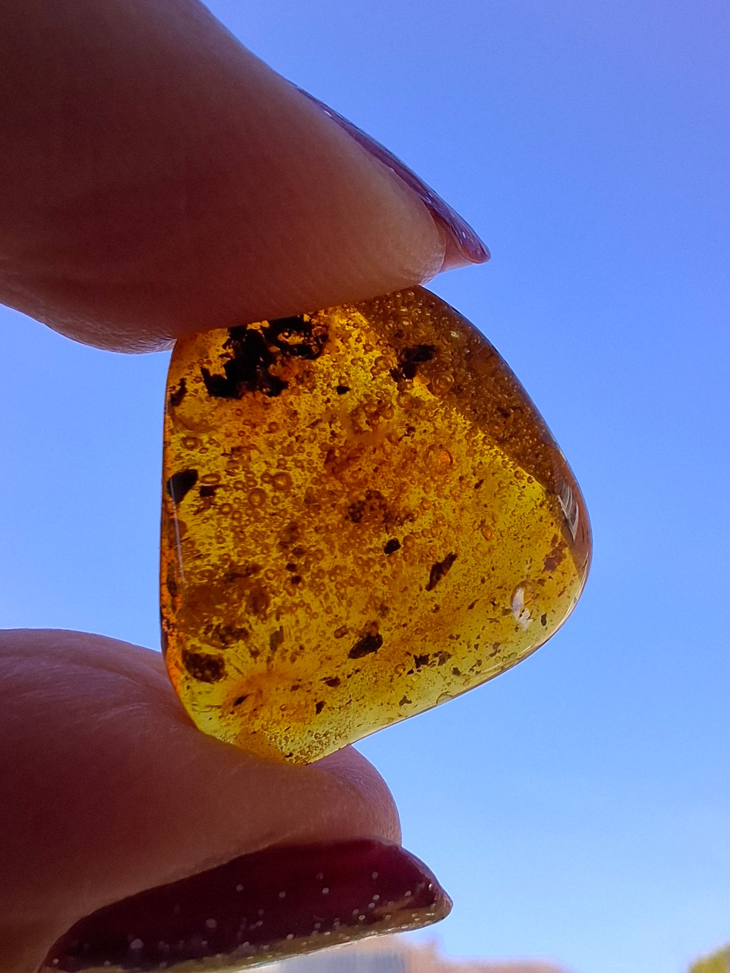 Baltic Amber, 1.59g, Fossil (Ref: A244)