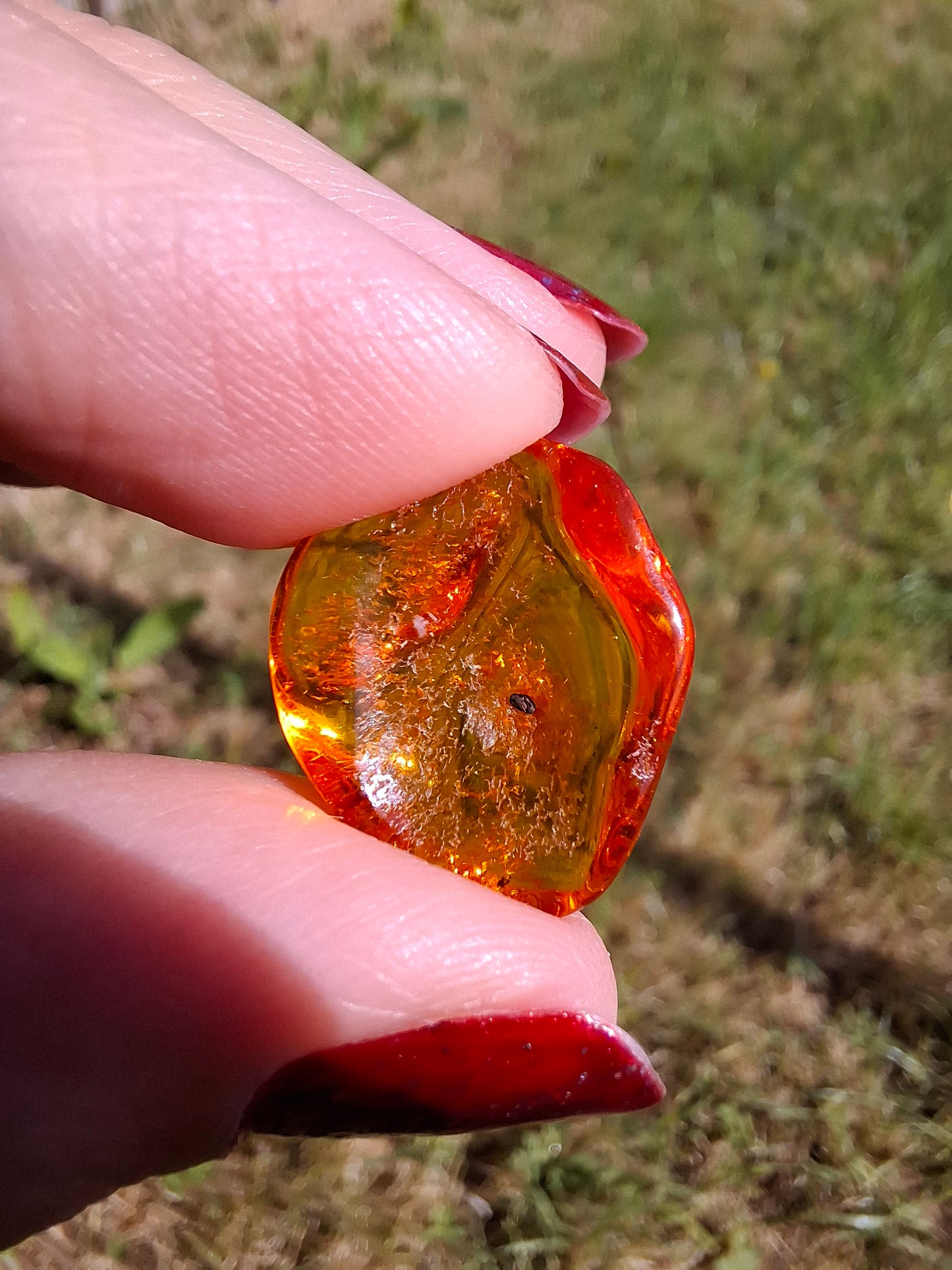 Baltic Amber, 1.12g, Fossil (Ref: A111)