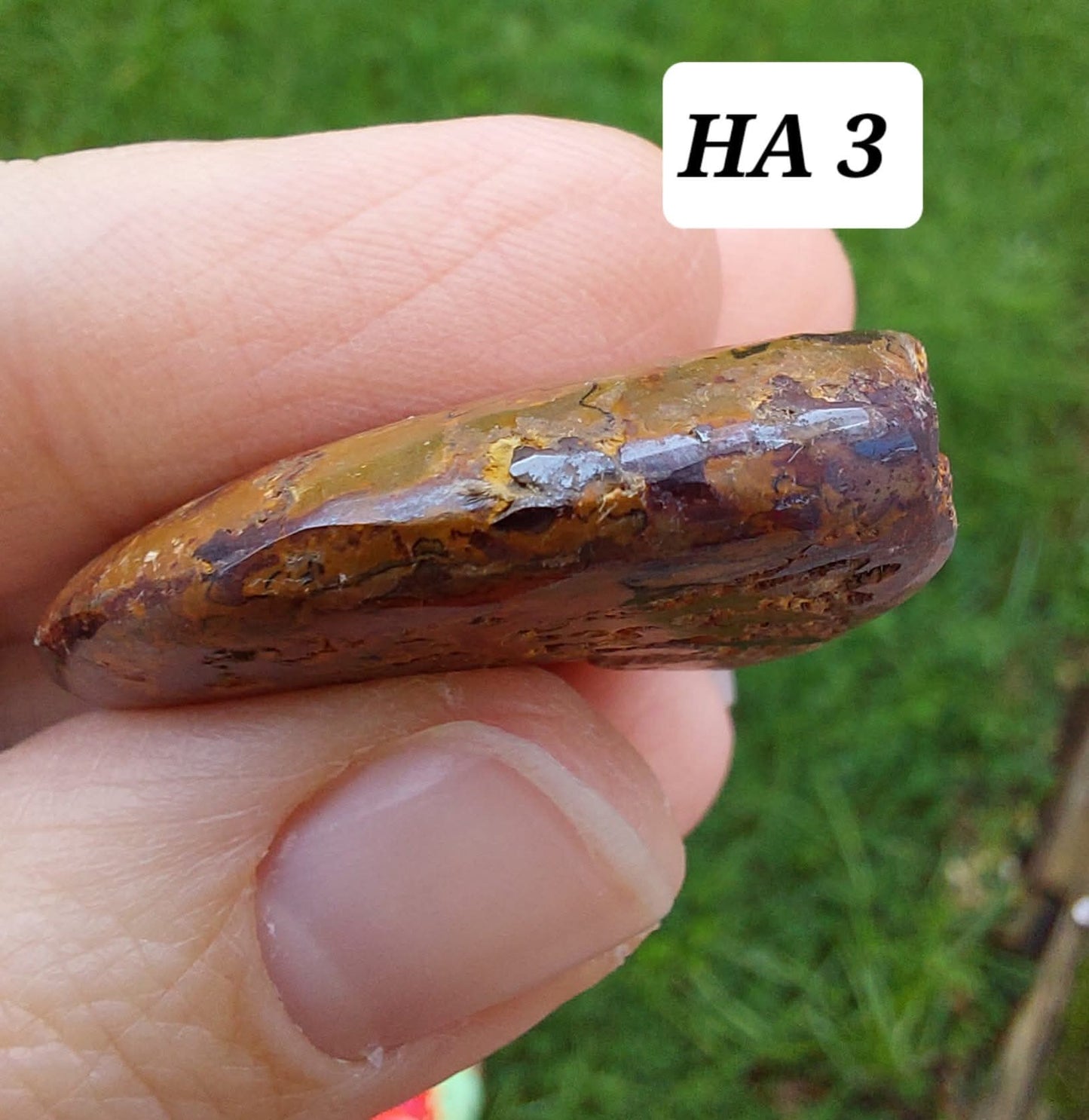 Hematite Ammonite, 16.00g, Fossil (Ref: HA3)