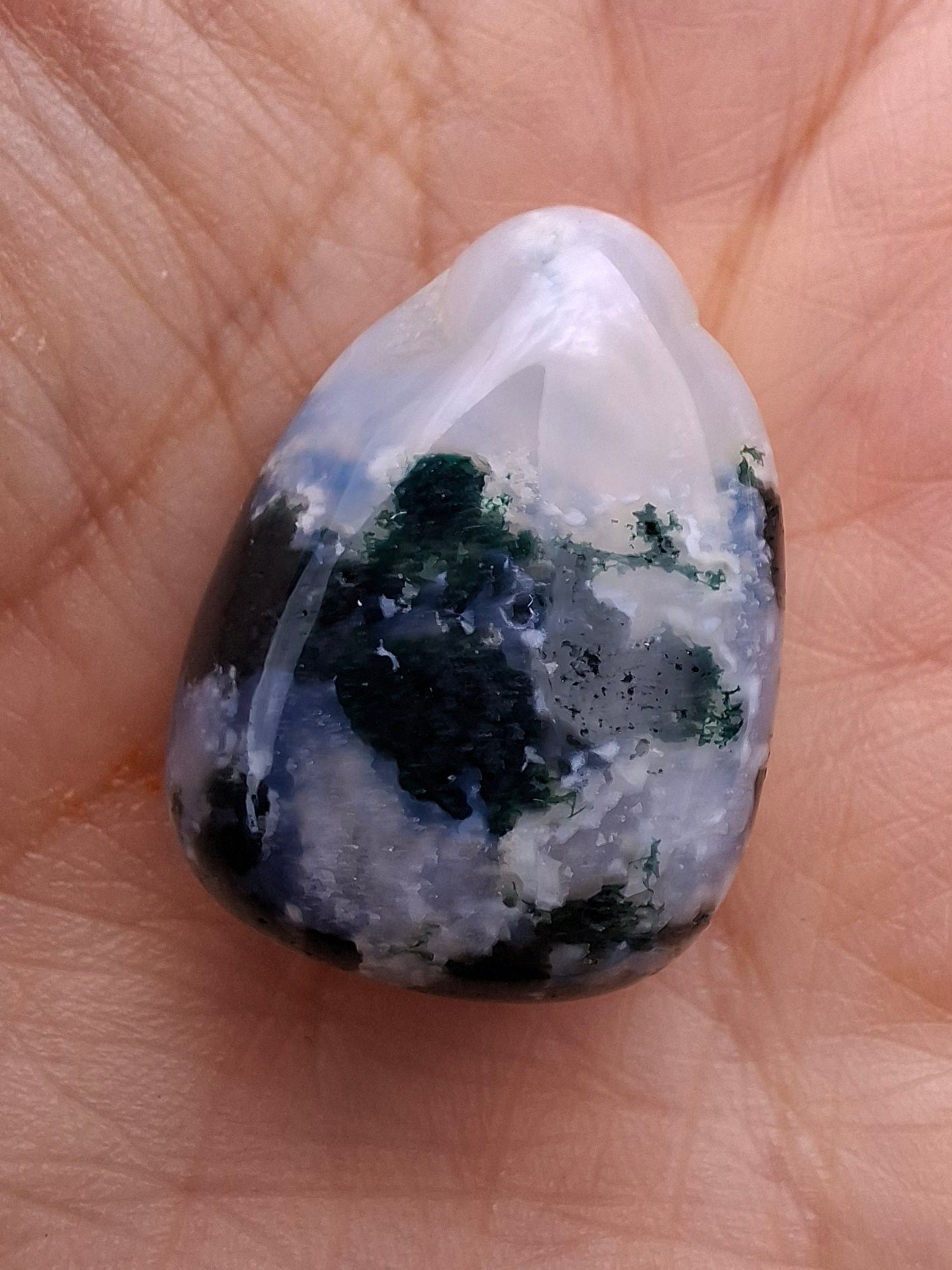 Tree Agate, Tumble Stone, Crystal (Ref: T2)