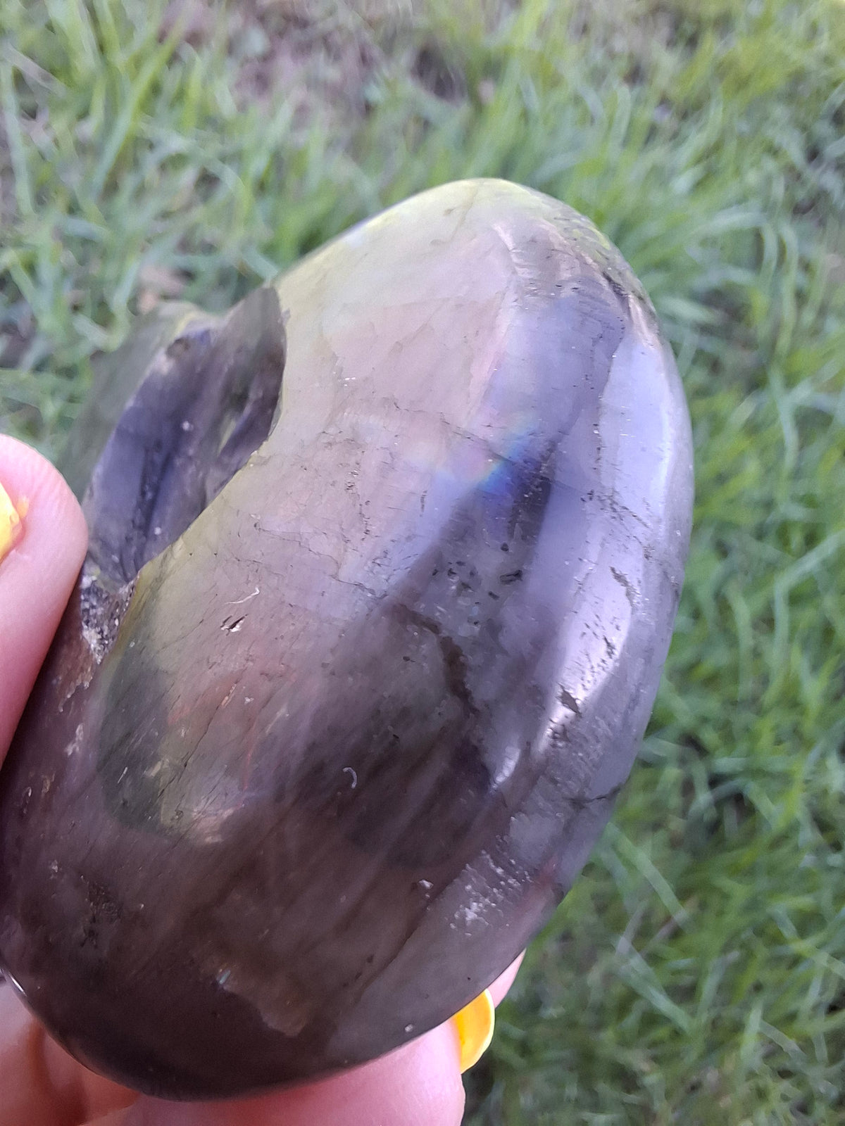Labradorite Ammonite Carving, 146.90g, Crystal (Ref: laba5)