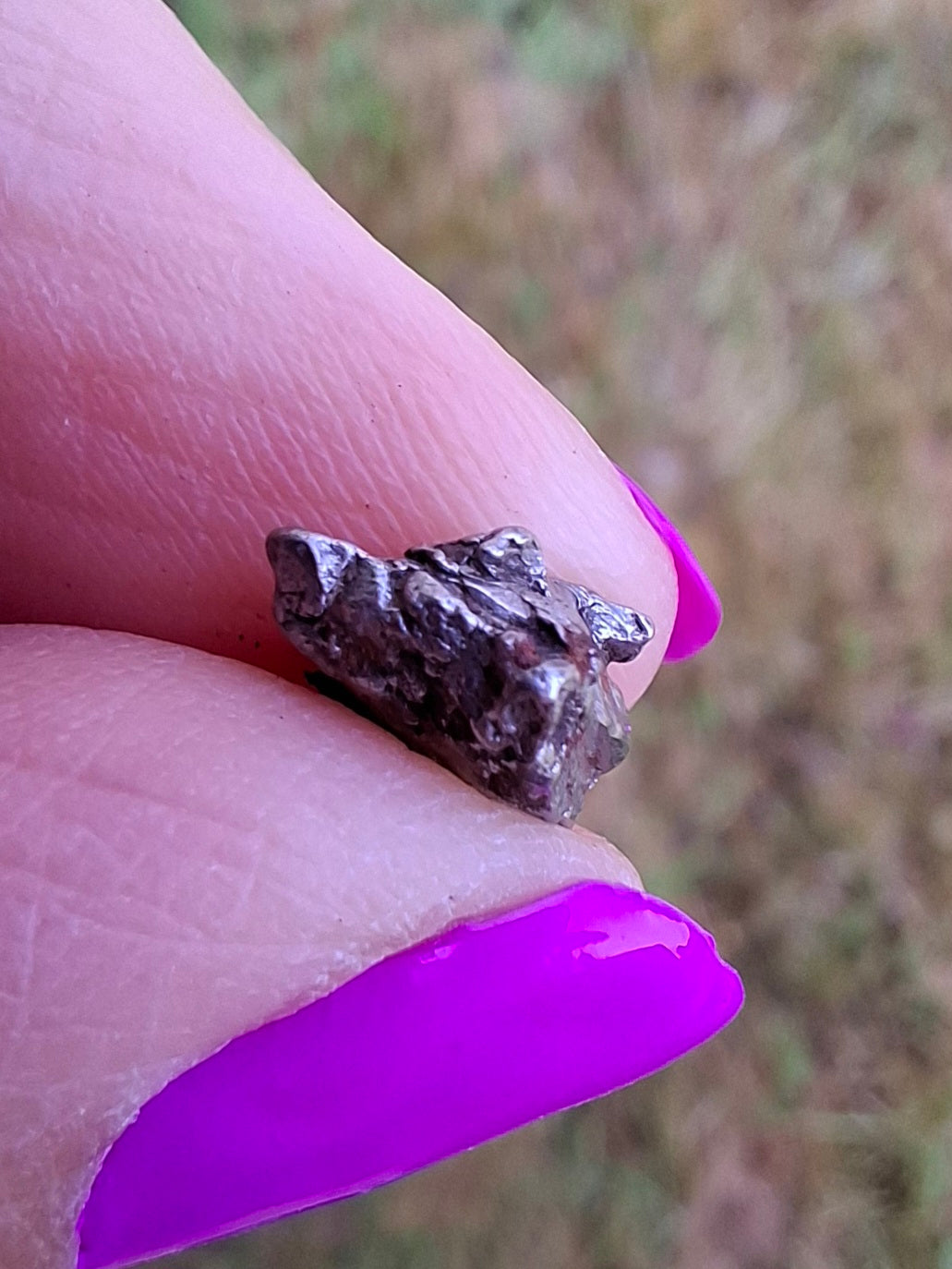 Campo del Cielo, 1.20g, Nickel Iron Meteorite (Ref: C12)