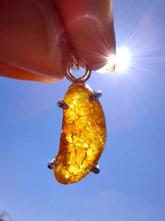 Baltic Amber Pendant, 925 Silver, Fossil (Ref: AP21)