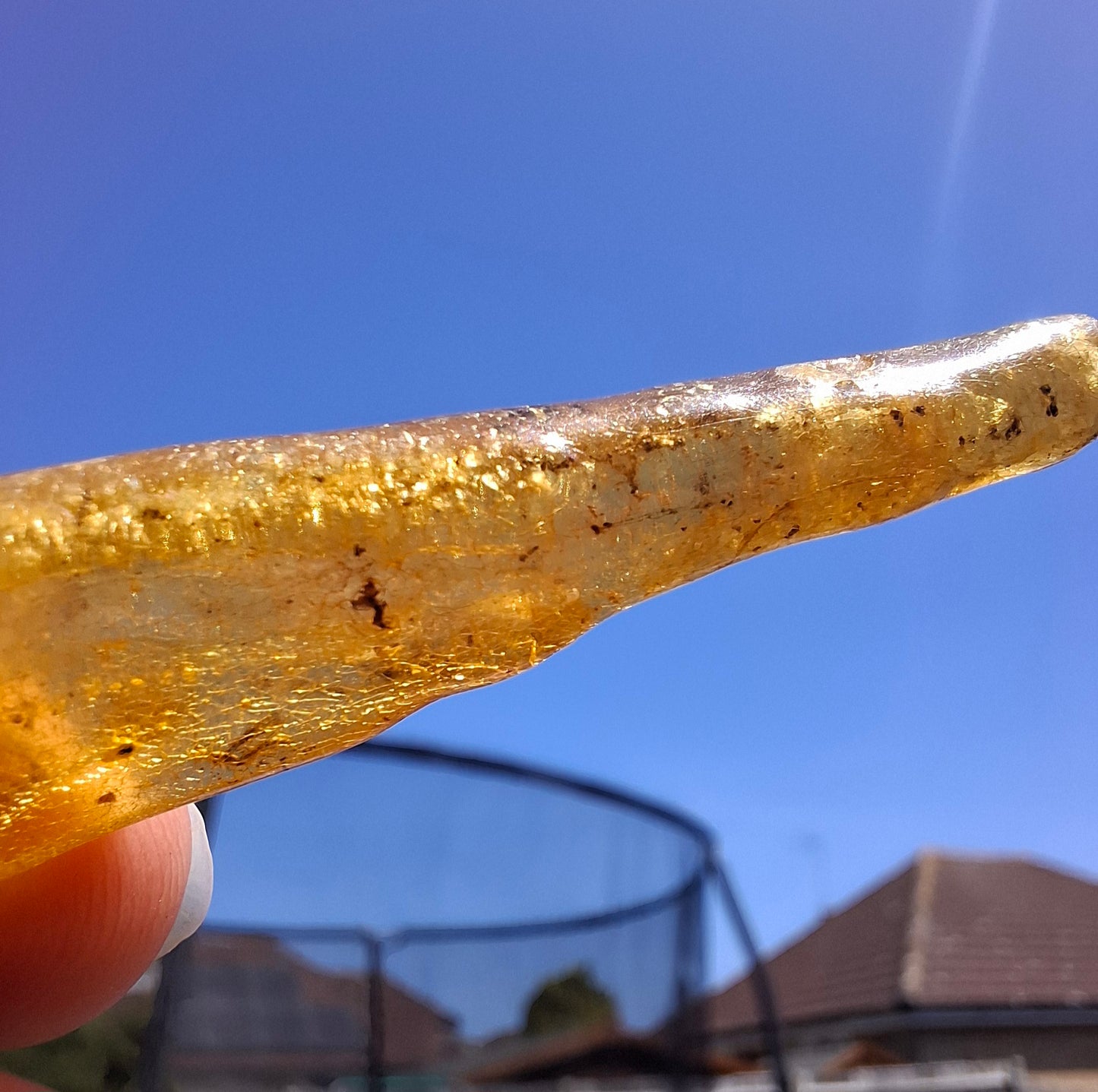 Copal Young Amber with INSECTS inside, 5.07g, Fossil (Ref: CA35)