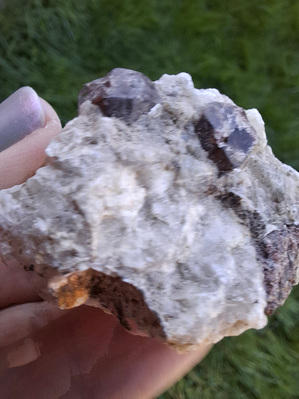 (Dig your own) Garnet in Matrix, Crystal (Ref: RG6)