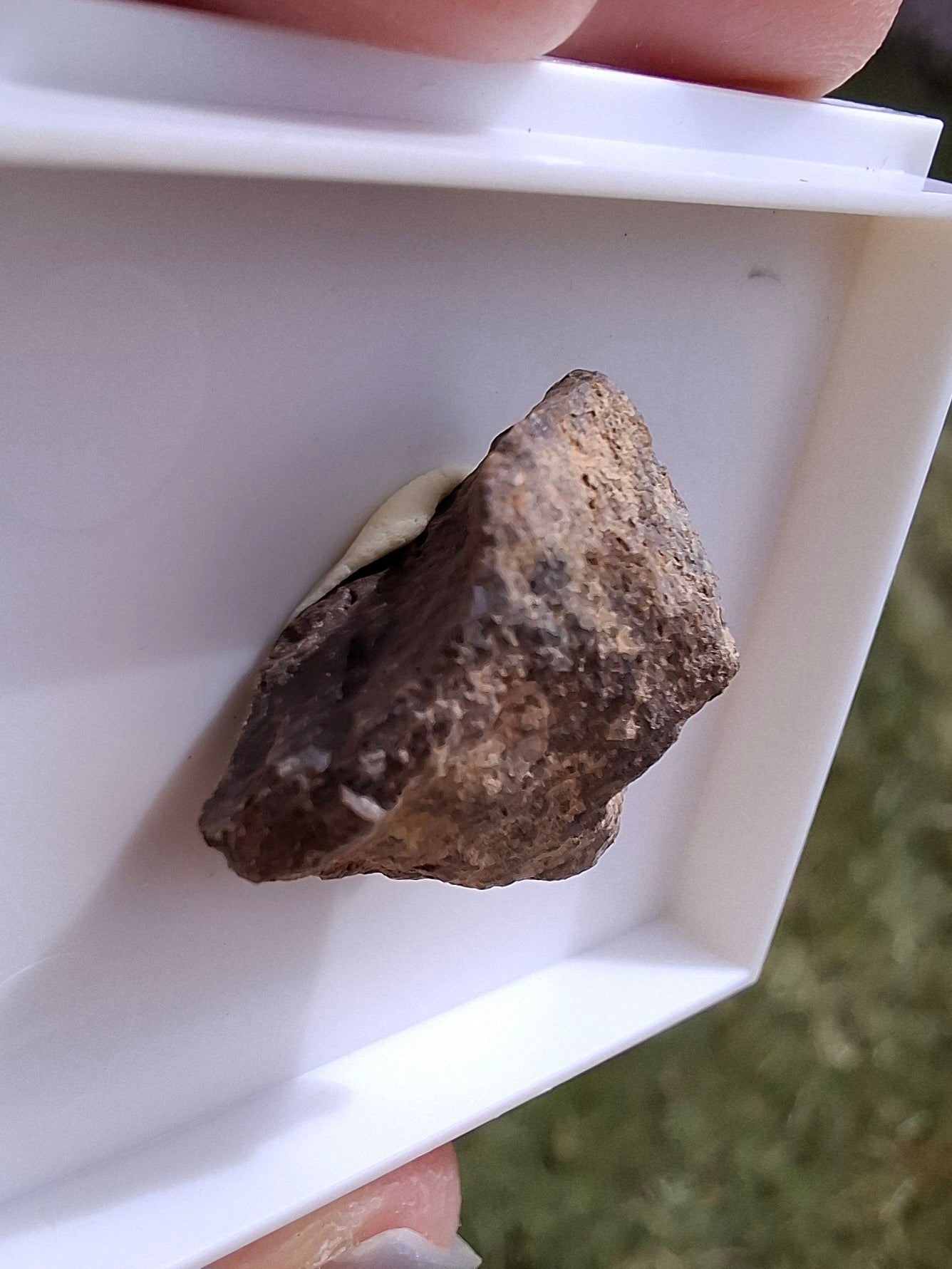 Chondrite, Meteorite (Ref: CM6)