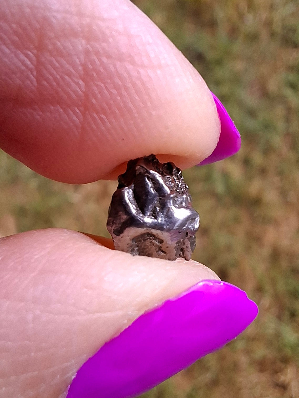 Campo del Cielo, 0.87g, Nickel Iron Meteorite (Ref: C4)
