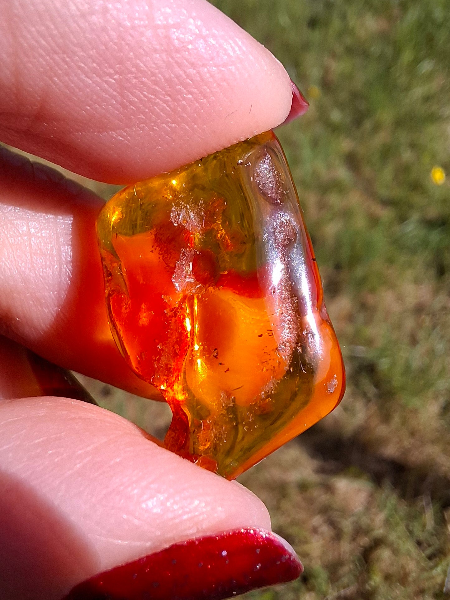 Baltic Amber, 1.40g, Fossil (Ref: A187)
