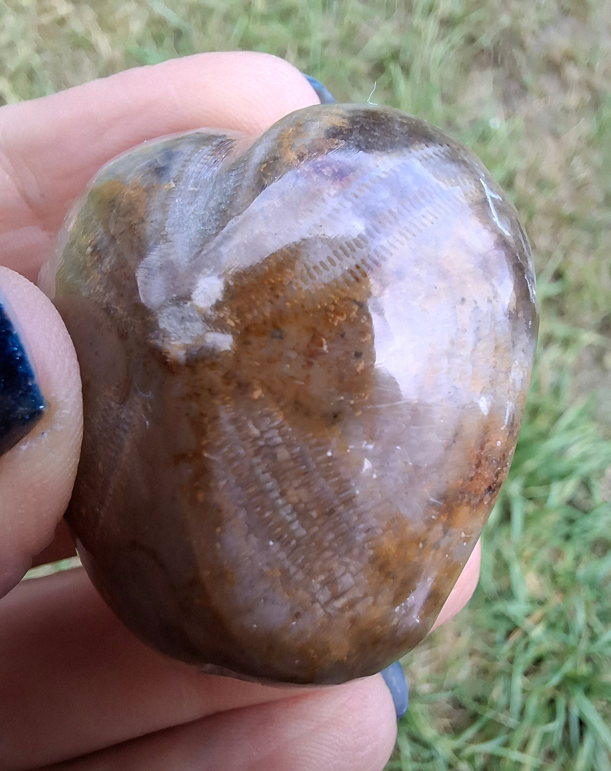 Polished Sea Urchin, Fossil (Ref: SU3)