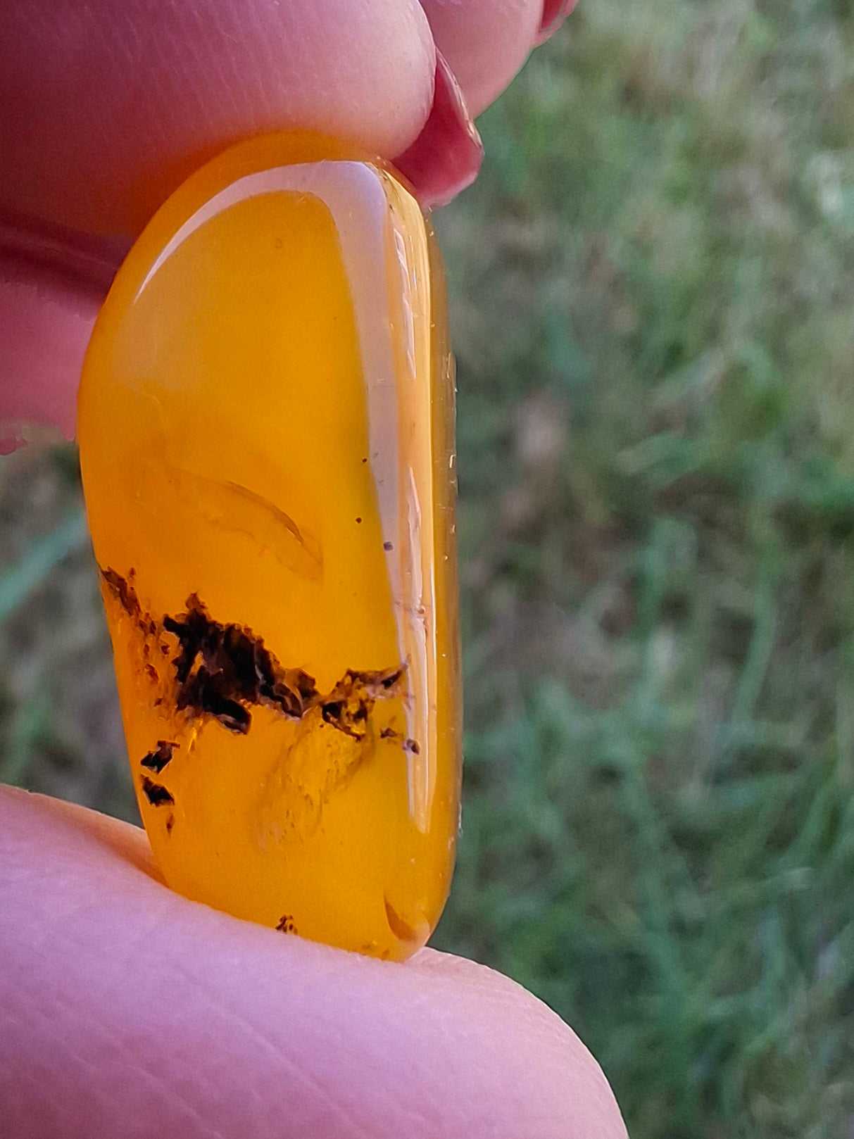 Baltic Amber, 1.74g, Fossil (Ref: A228)