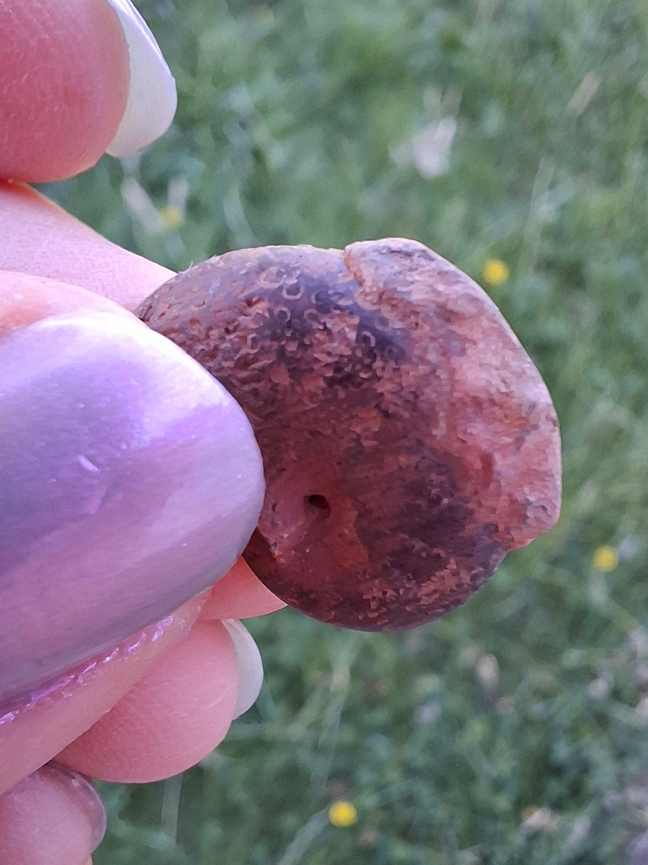 Small Haematite Ammonite HALF, 1.32g, Fossil (Ref: MA5)