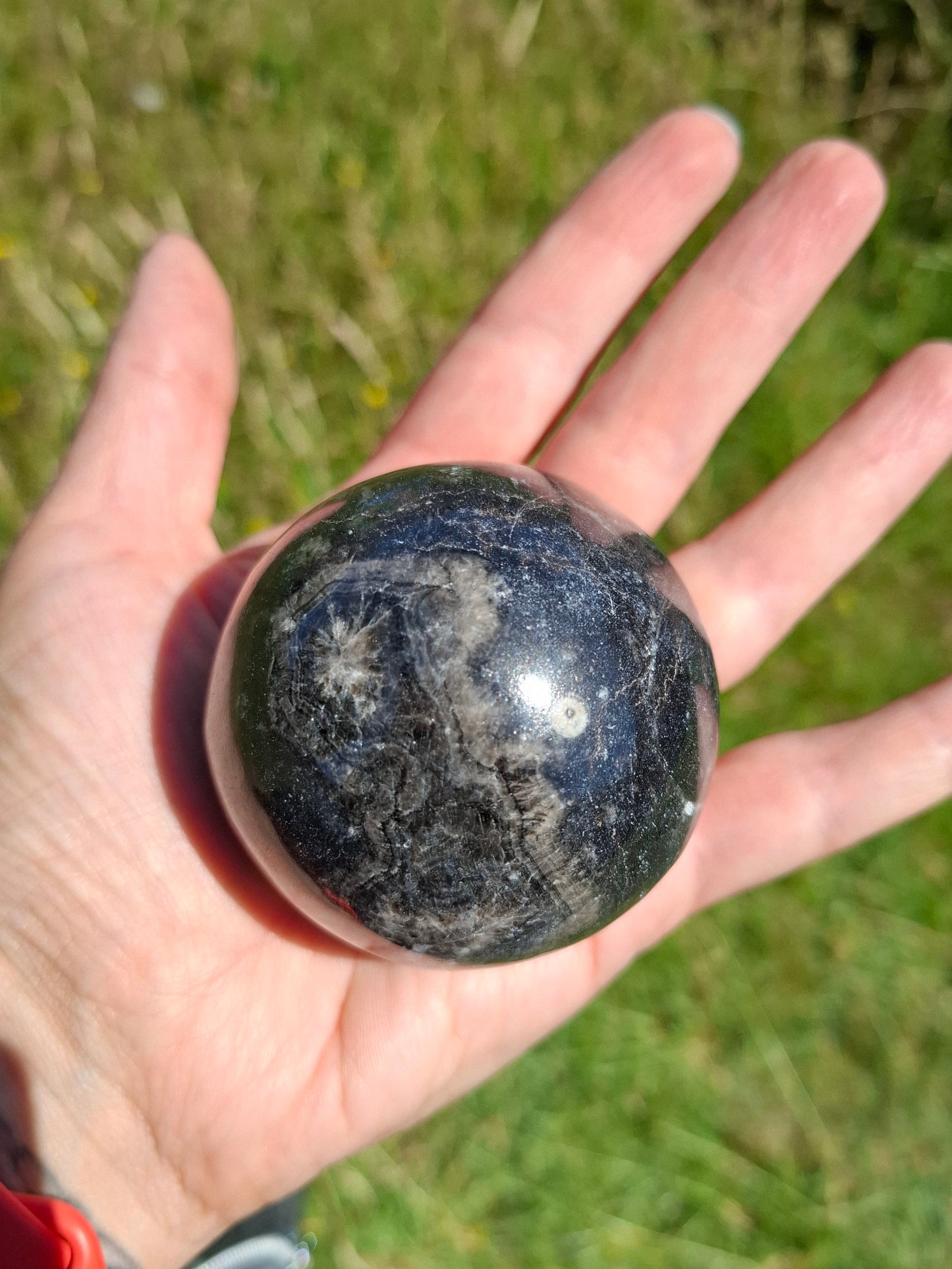 Orthoceras Sphere, Fossil (Ref: OS3)