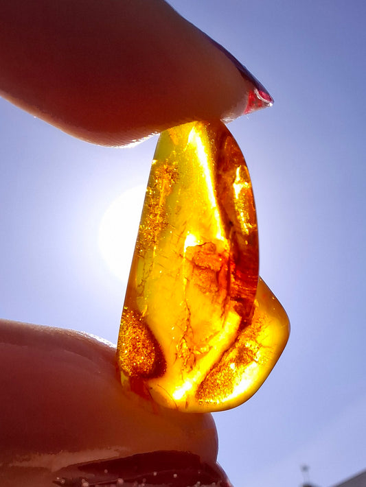 Baltic Amber, 1.48g, Fossil (Ref: A221)