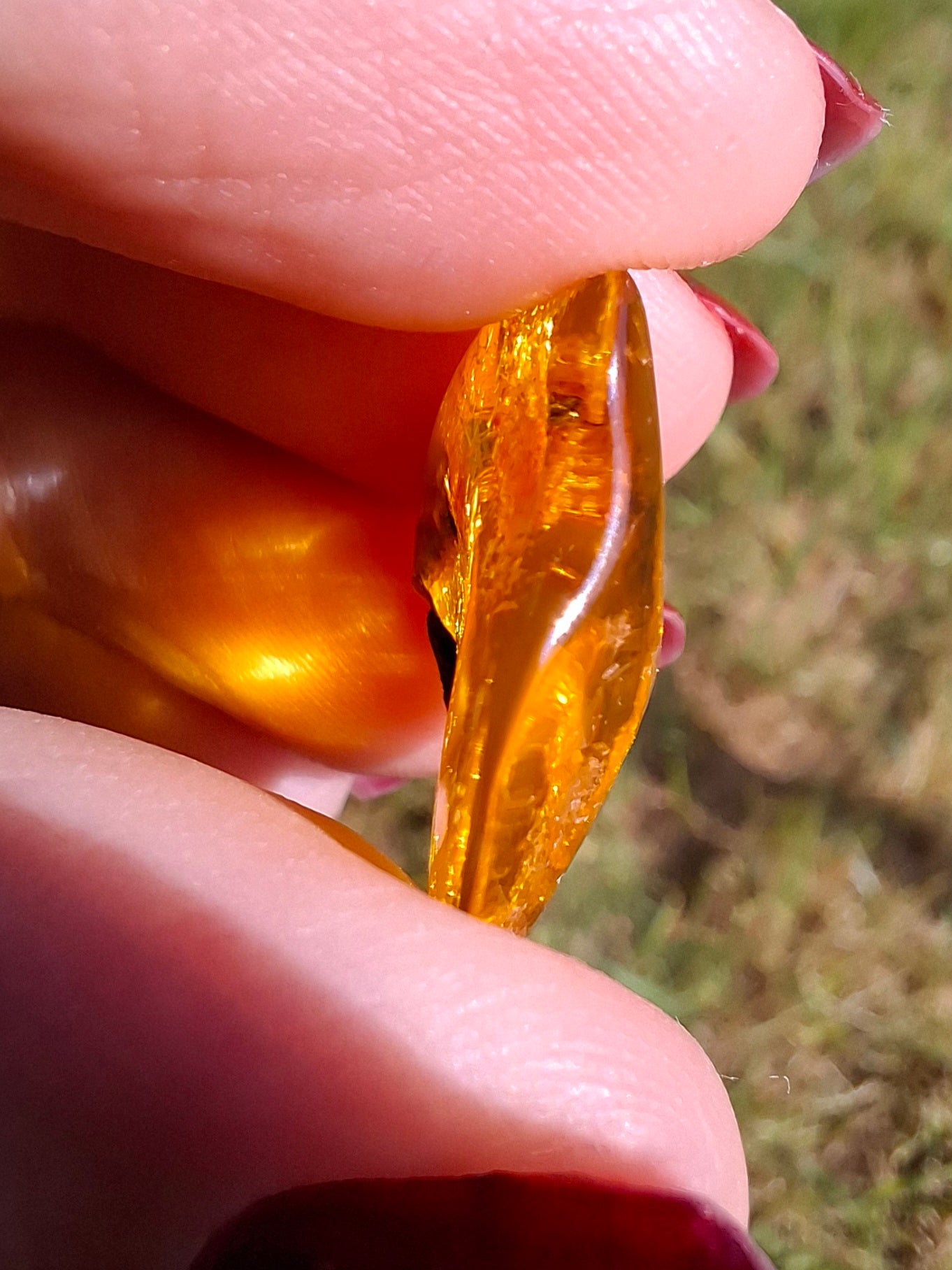 Baltic Amber, 1.45g, Fossil (Ref: A76)