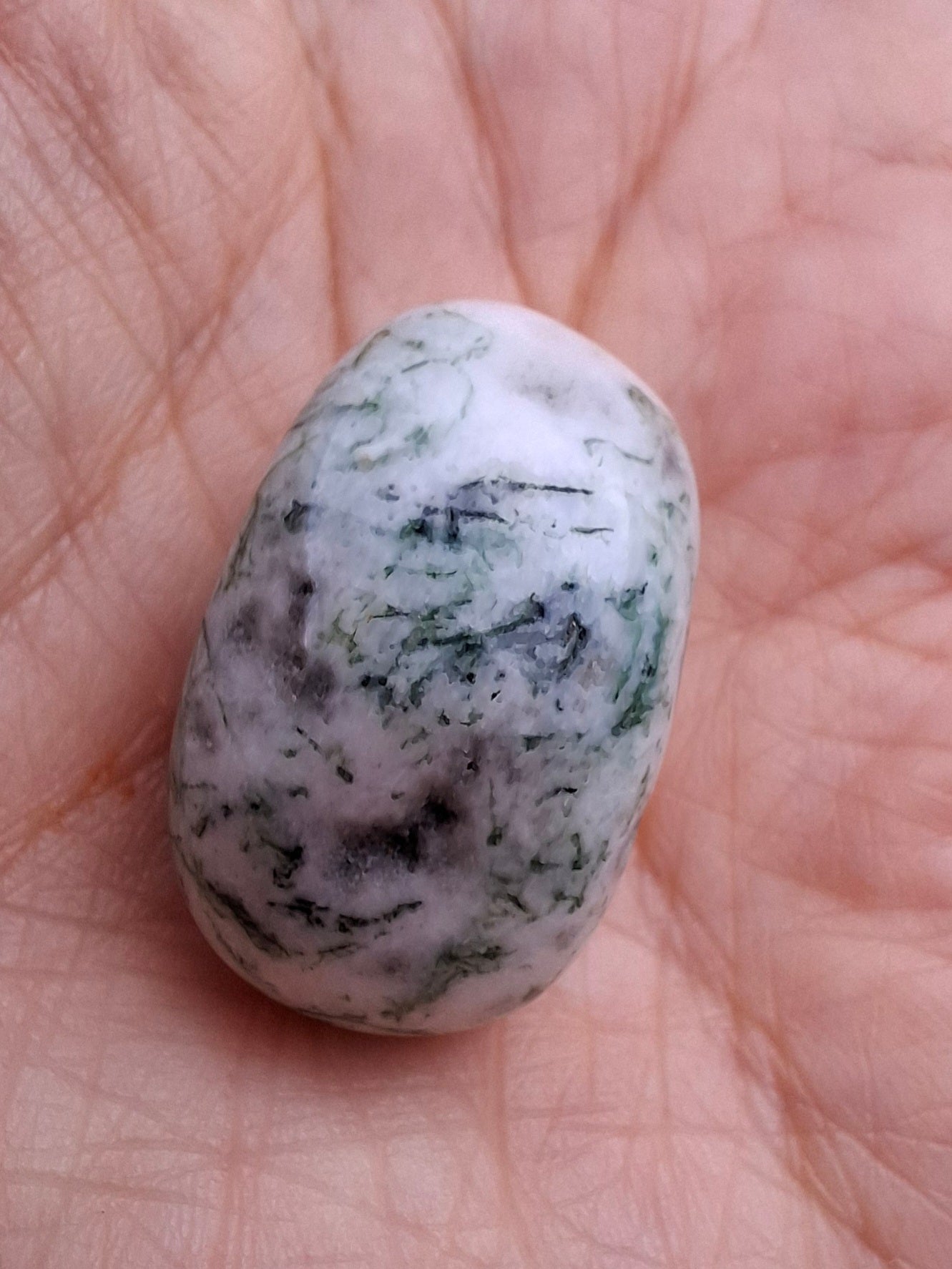 Tree Agate, Tumble Stone, Crystal (Ref: T3)