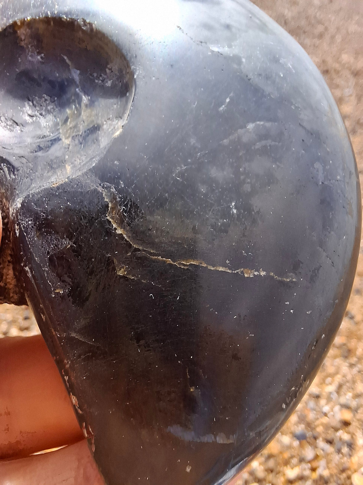Labradorite Ammonite Carving, 160.21g, Crystal (Ref: laba4)