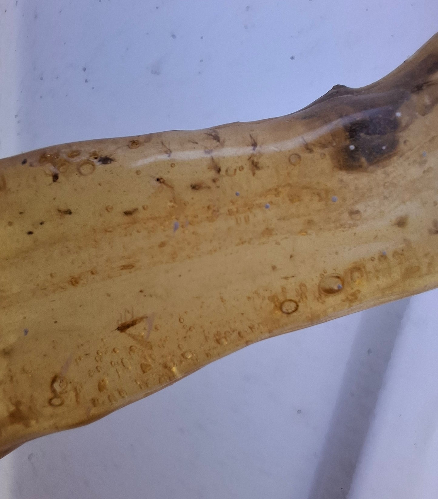 Copal Young Amber with INSECTS inside, 18.29g, Fossil (Ref: CA33)
