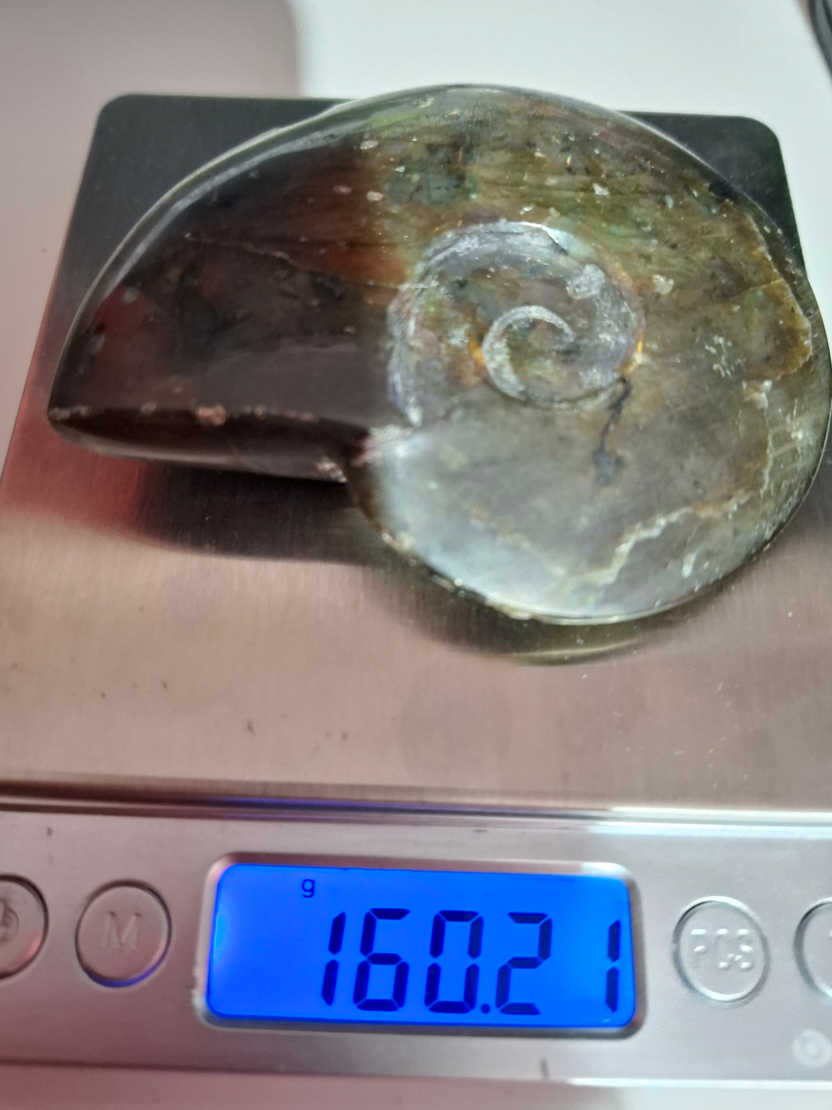 Labradorite Ammonite Carving, 160.21g, Crystal (Ref: laba4)
