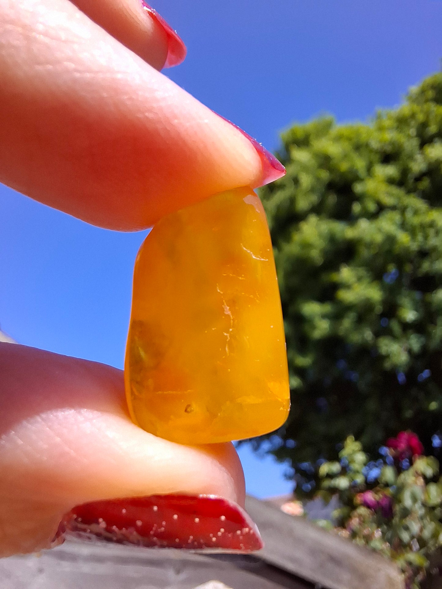 Baltic Amber, 1.20g, Fossil (Ref: A129)