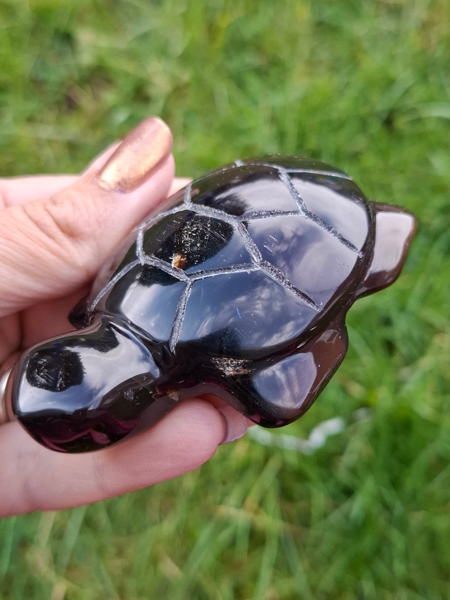 Red Amber Turtle, 47.85g, Carving, Fossil (Ref: TT4)