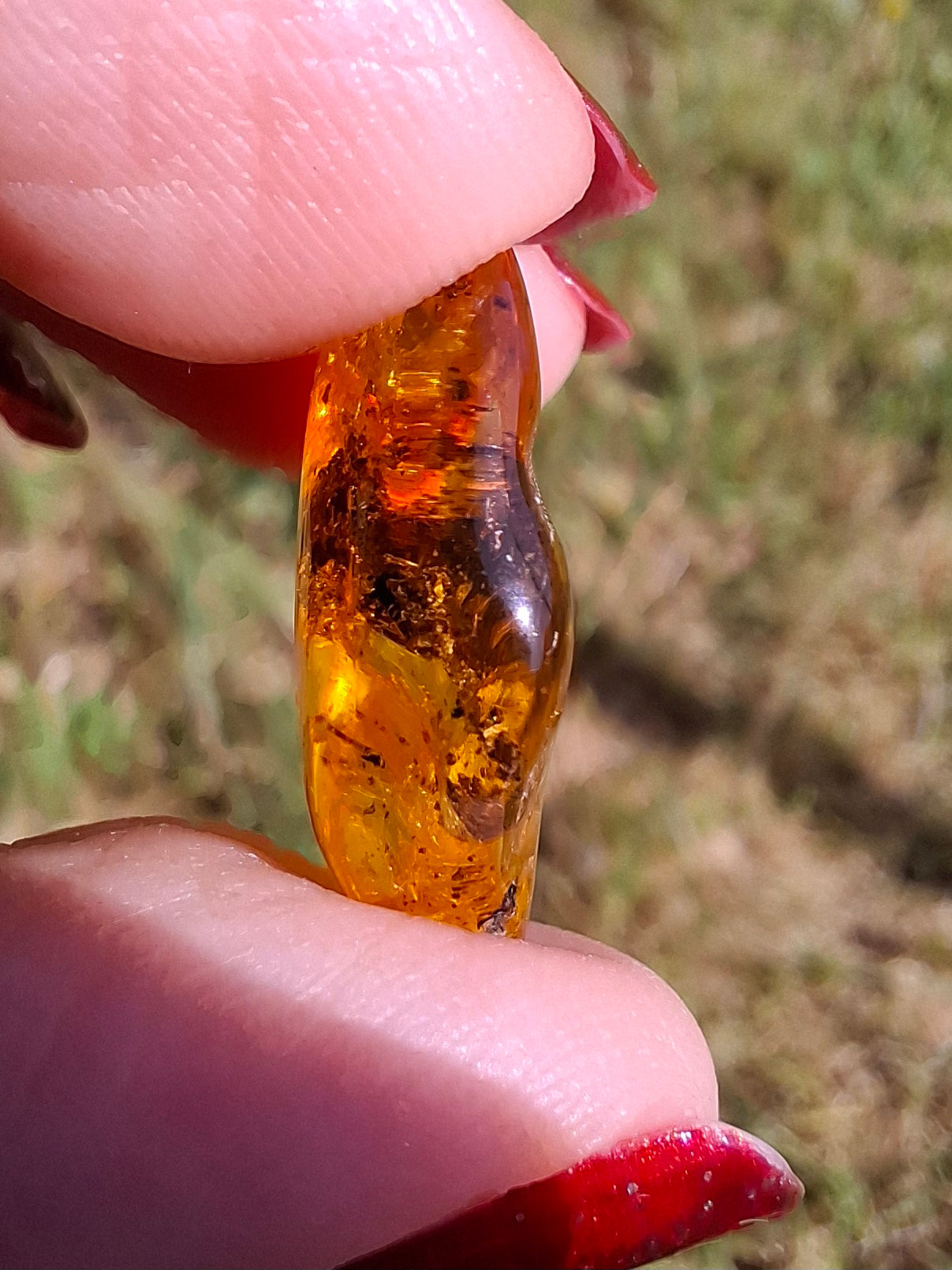Baltic Amber, 1.13g, Fossil (Ref: A241)
