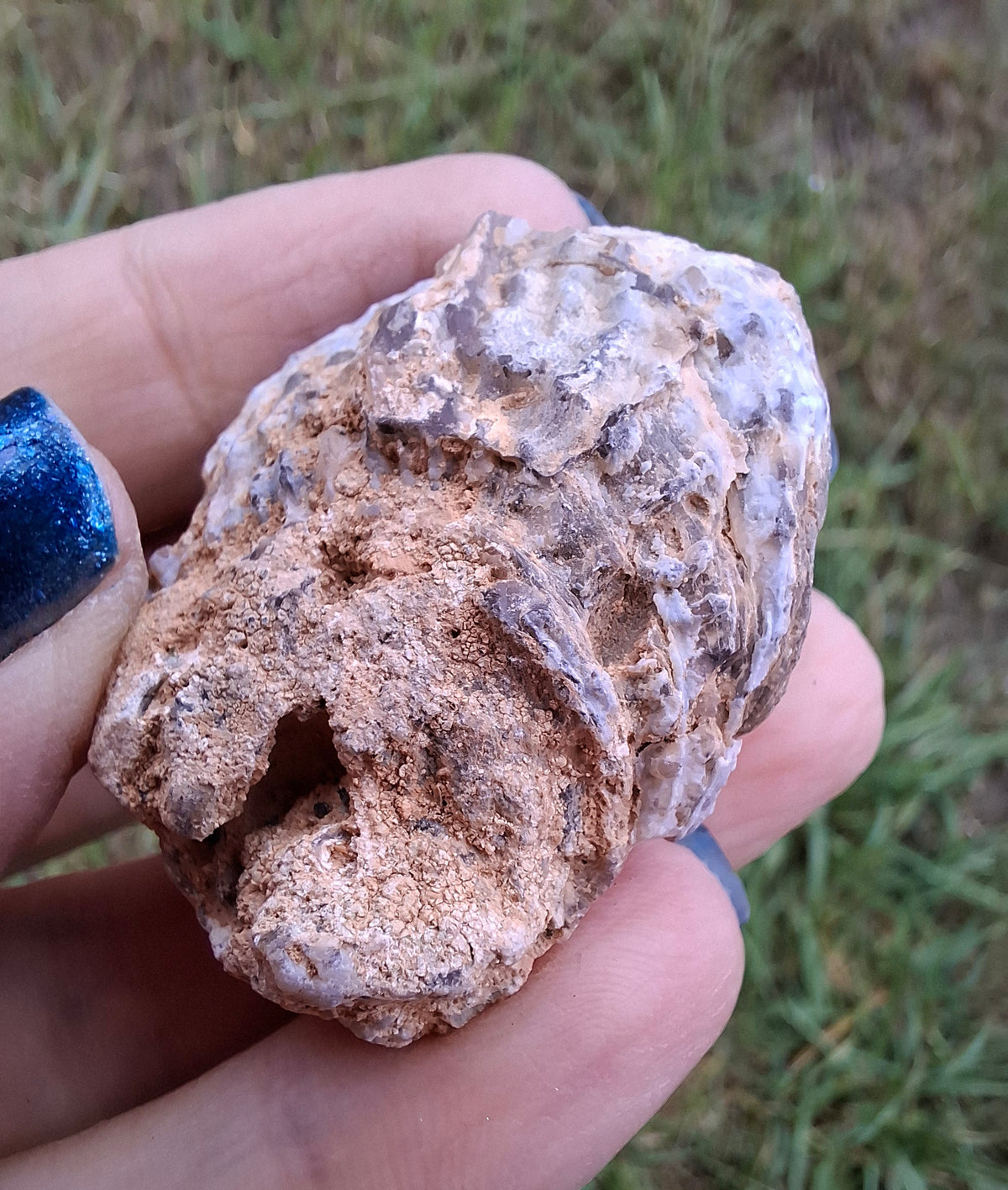 Chalcedony Oyster, Fossil (Ref: FO6)