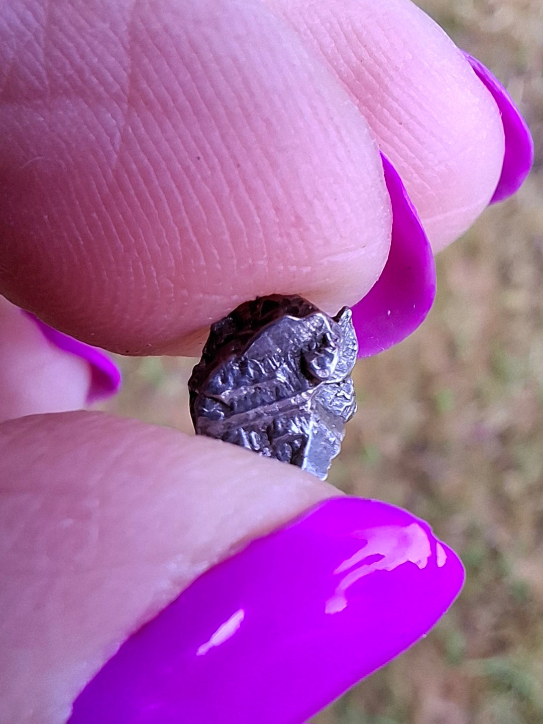 Campo del Cielo, 0.87g, Nickel Iron Meteorite (Ref: C4)