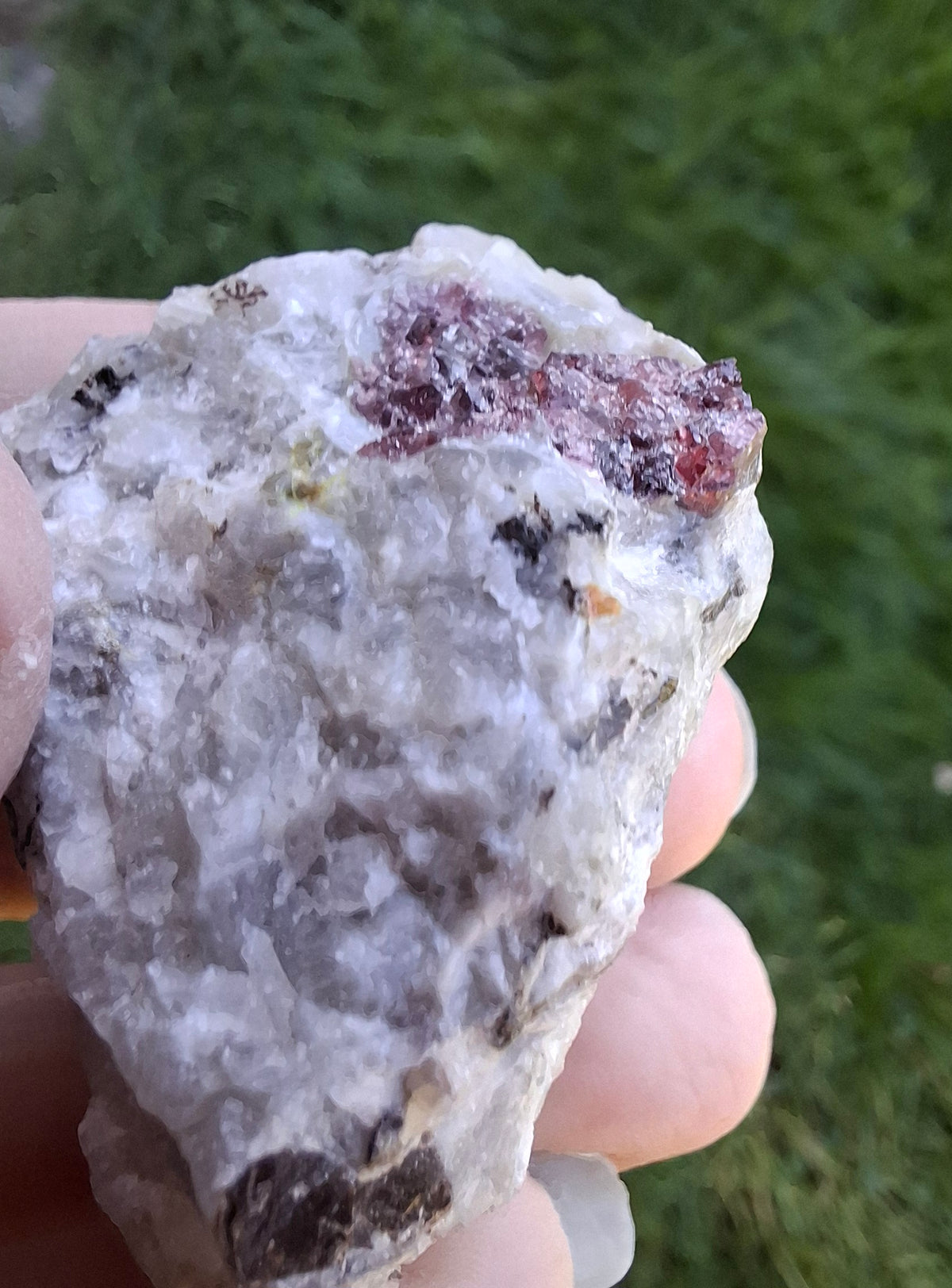 (Dig your own) Garnet in Matrix, Crystal (Ref: RG5)