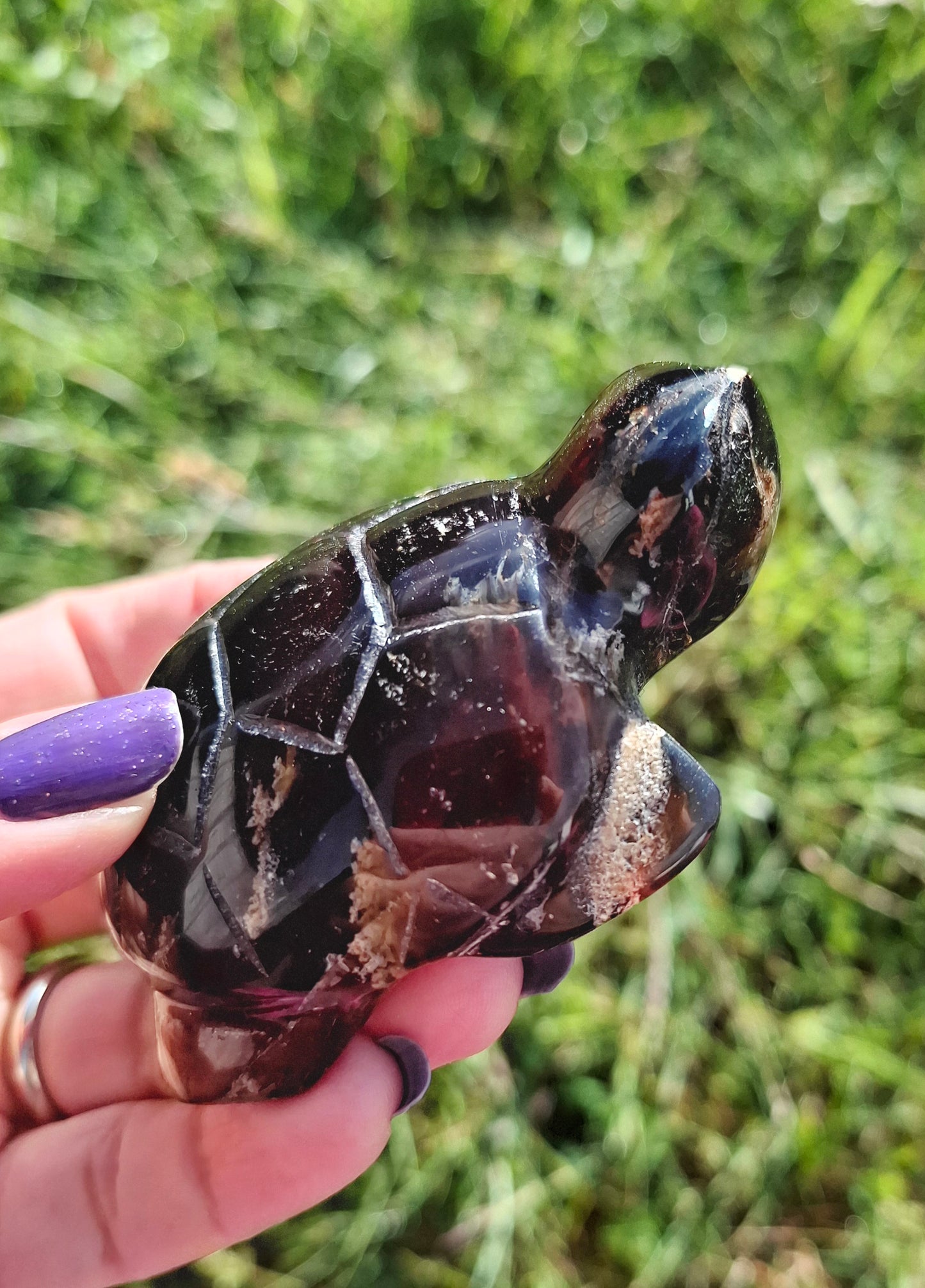 Red Amber Turtle, 56.87g, Carving, Fossil (Ref: TT2)