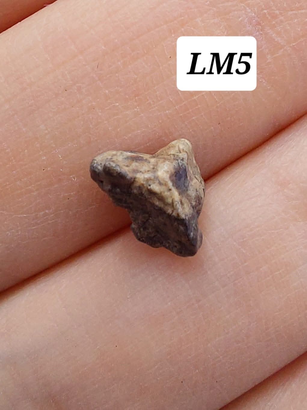 Lunar Meteorite, 0.32g, 'Moon Rock' (Ref: LM5)