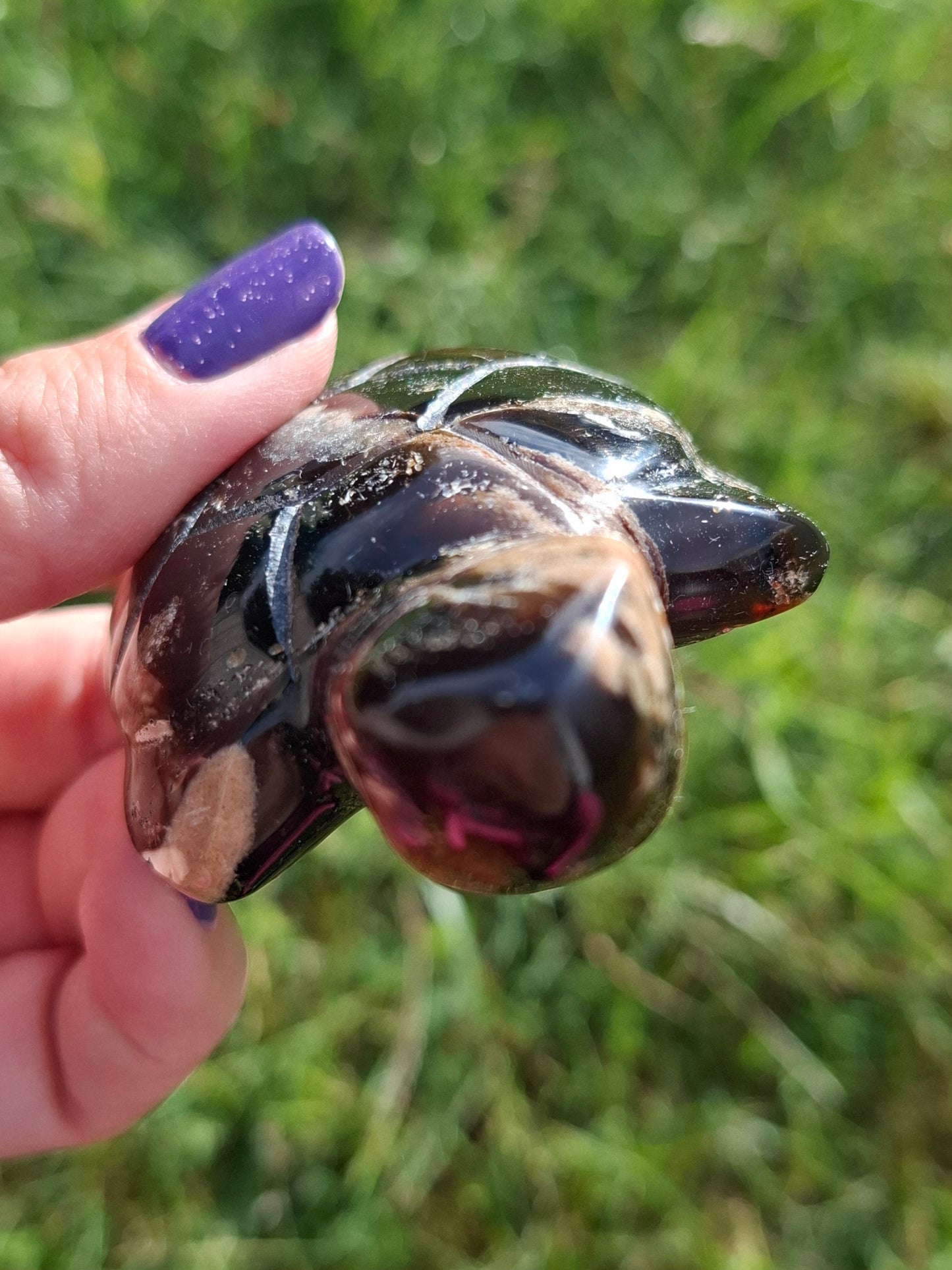 Red Amber Turtle, 50.00g, Carving, Fossil (Ref: TT6)