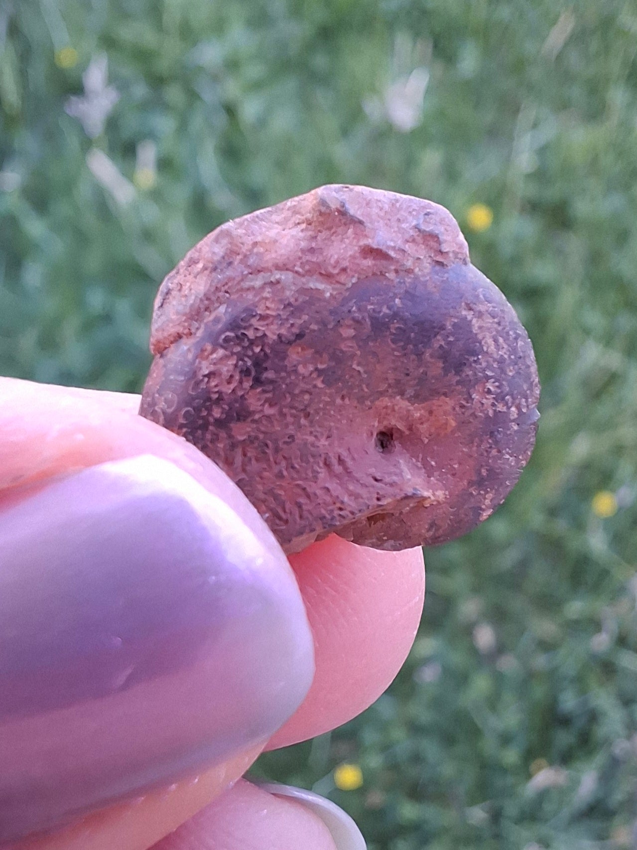 Small Haematite Ammonite HALF, 1.32g, Fossil (Ref: MA5)