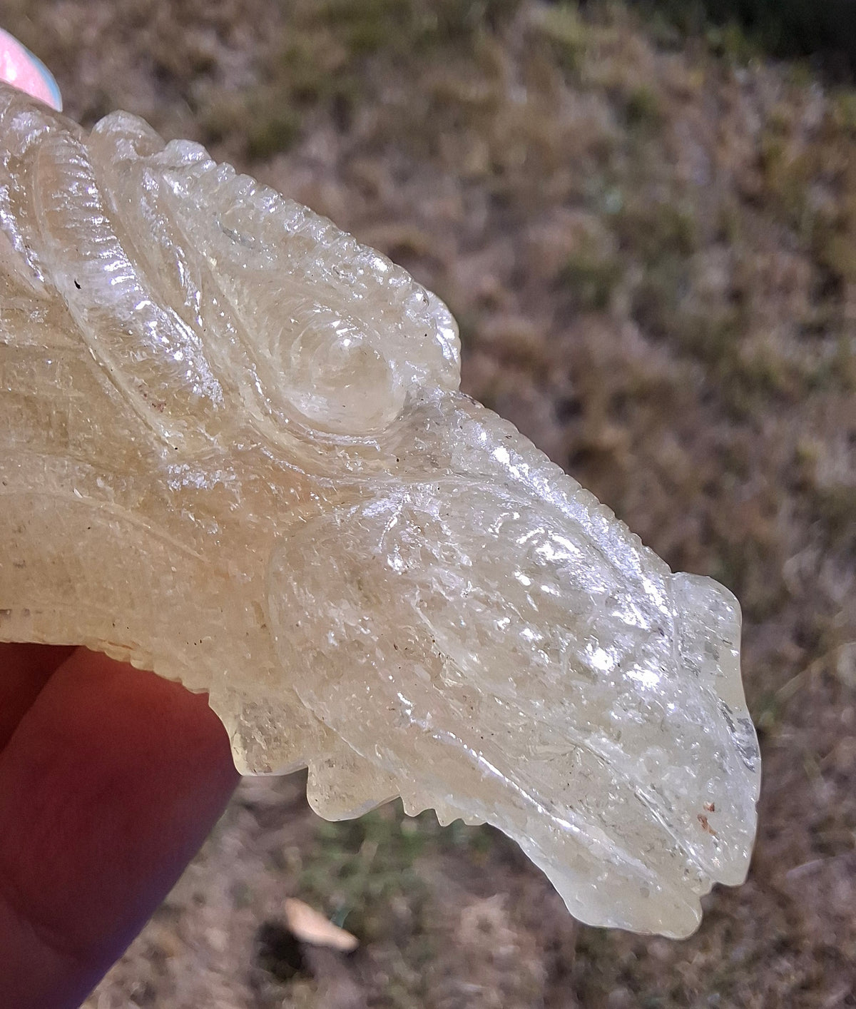 Libyan Desert Glass DRAGON HEAD carving, 48.11g, Tektite (Ref: Dragon4)