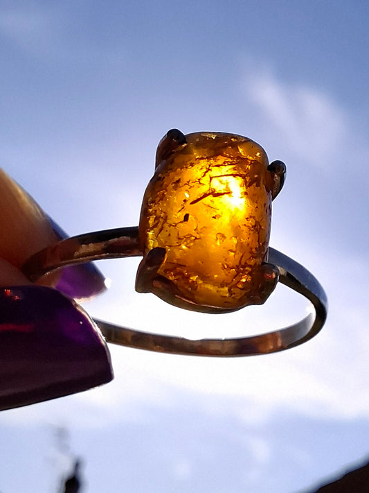 Baltic Amber Ring, size large W, 925 Silver, Fossil (Ref: AR28)