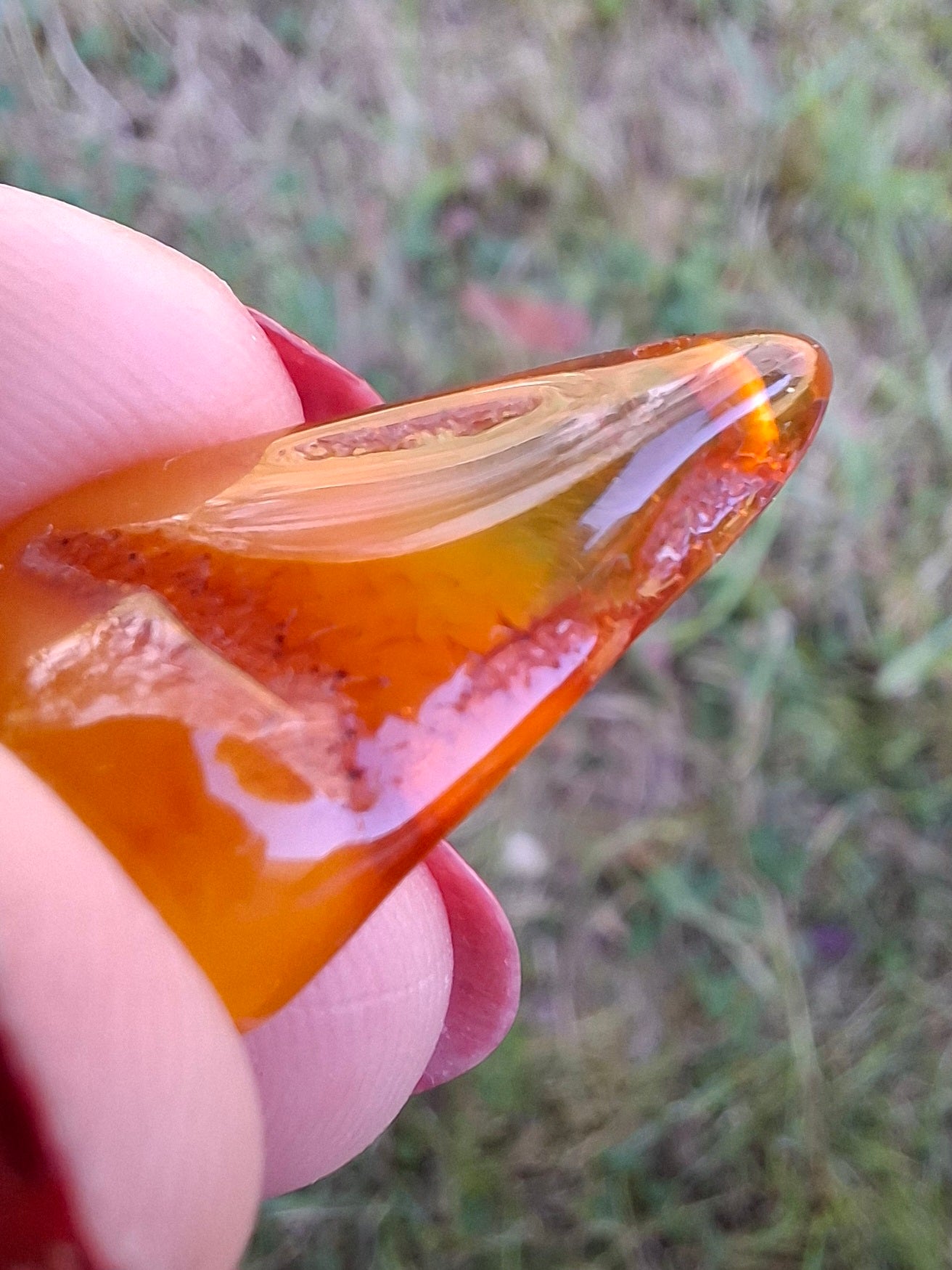 Baltic Amber, 1.52g, Fossil (Ref: A189)