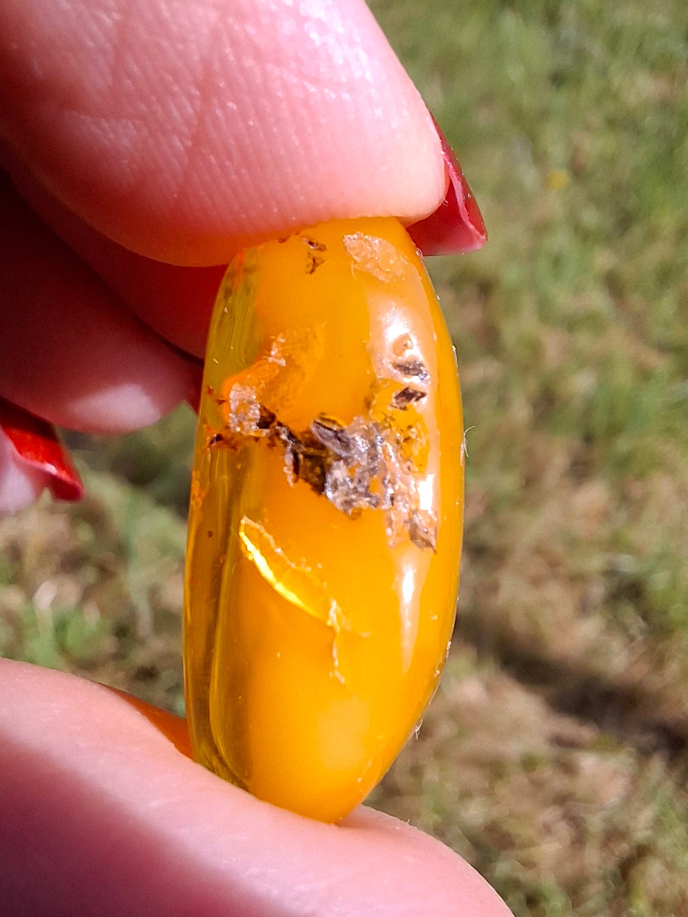 Baltic Amber, 1.74g, Fossil (Ref: A228)