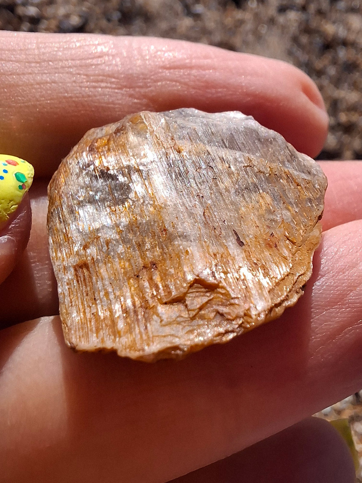Diaspore (Zultanite), 8.80g, Crystal (Ref: DIS3)