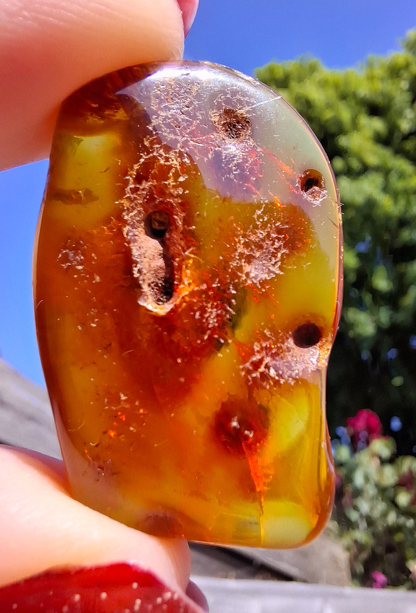 Baltic Amber, 4.50g, Fossil (Ref: A151)