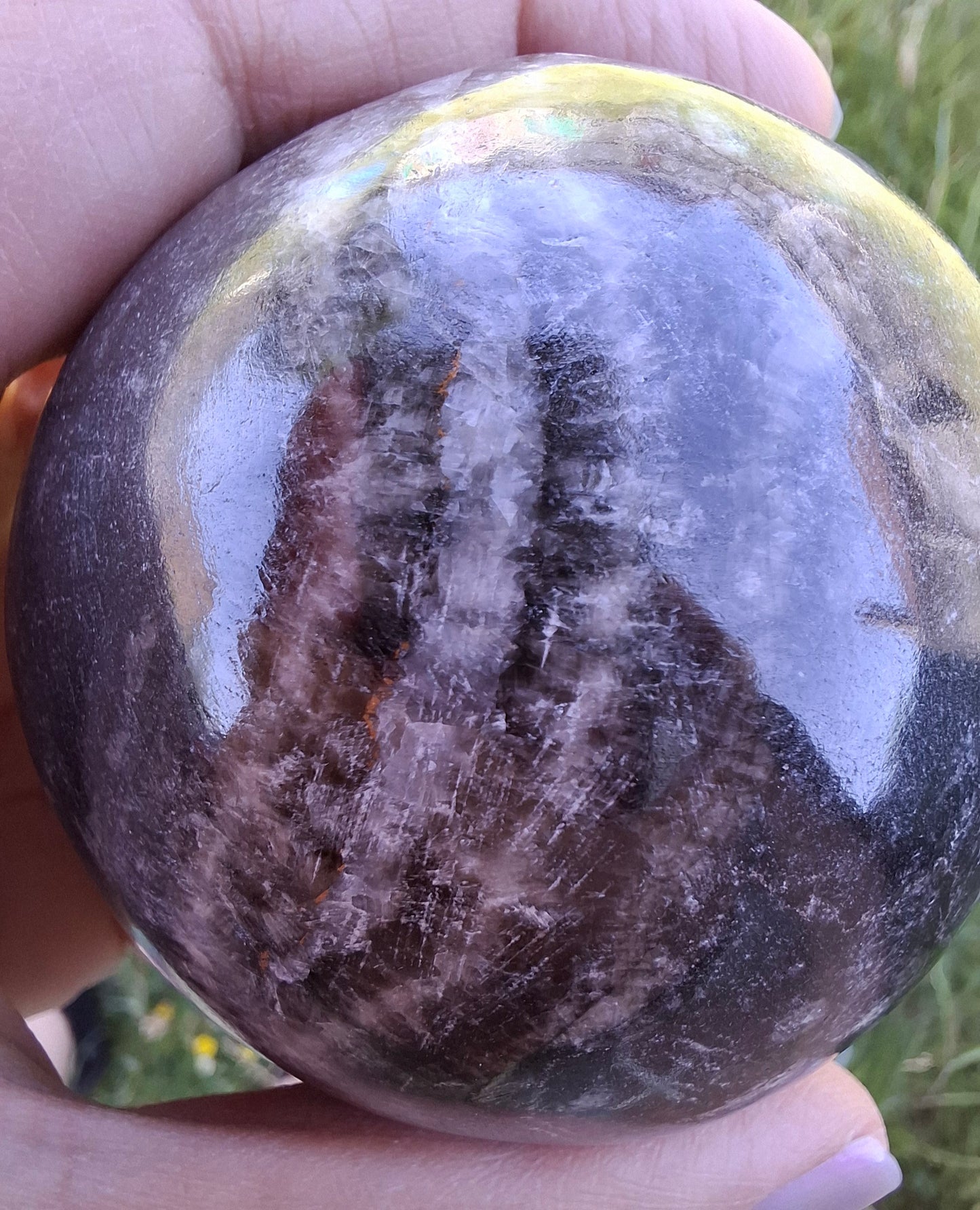 Orthoceras Sphere, Fossil (Ref: OS3)