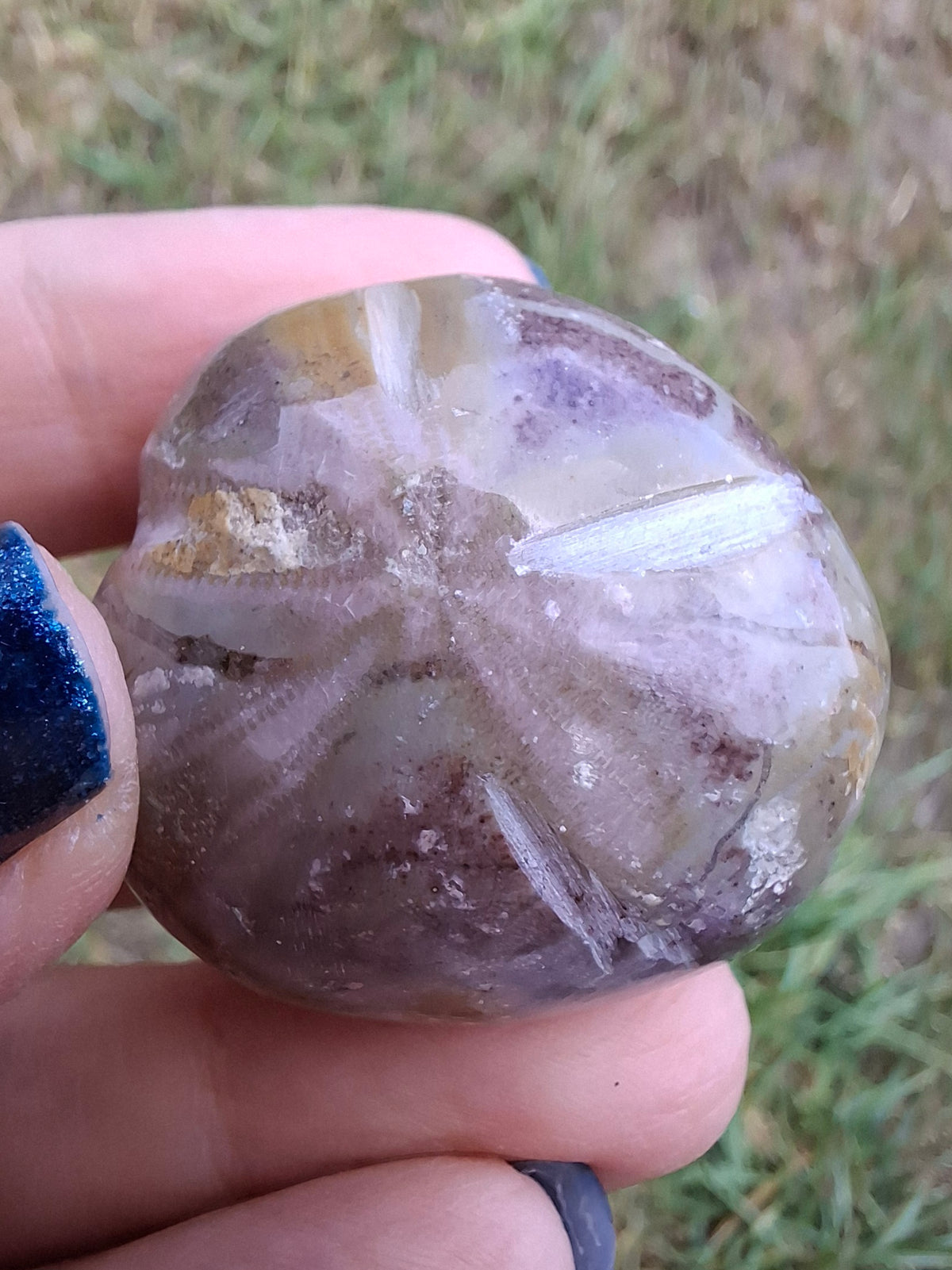 Polished Sea Urchin, Fossil (Ref: SU6)