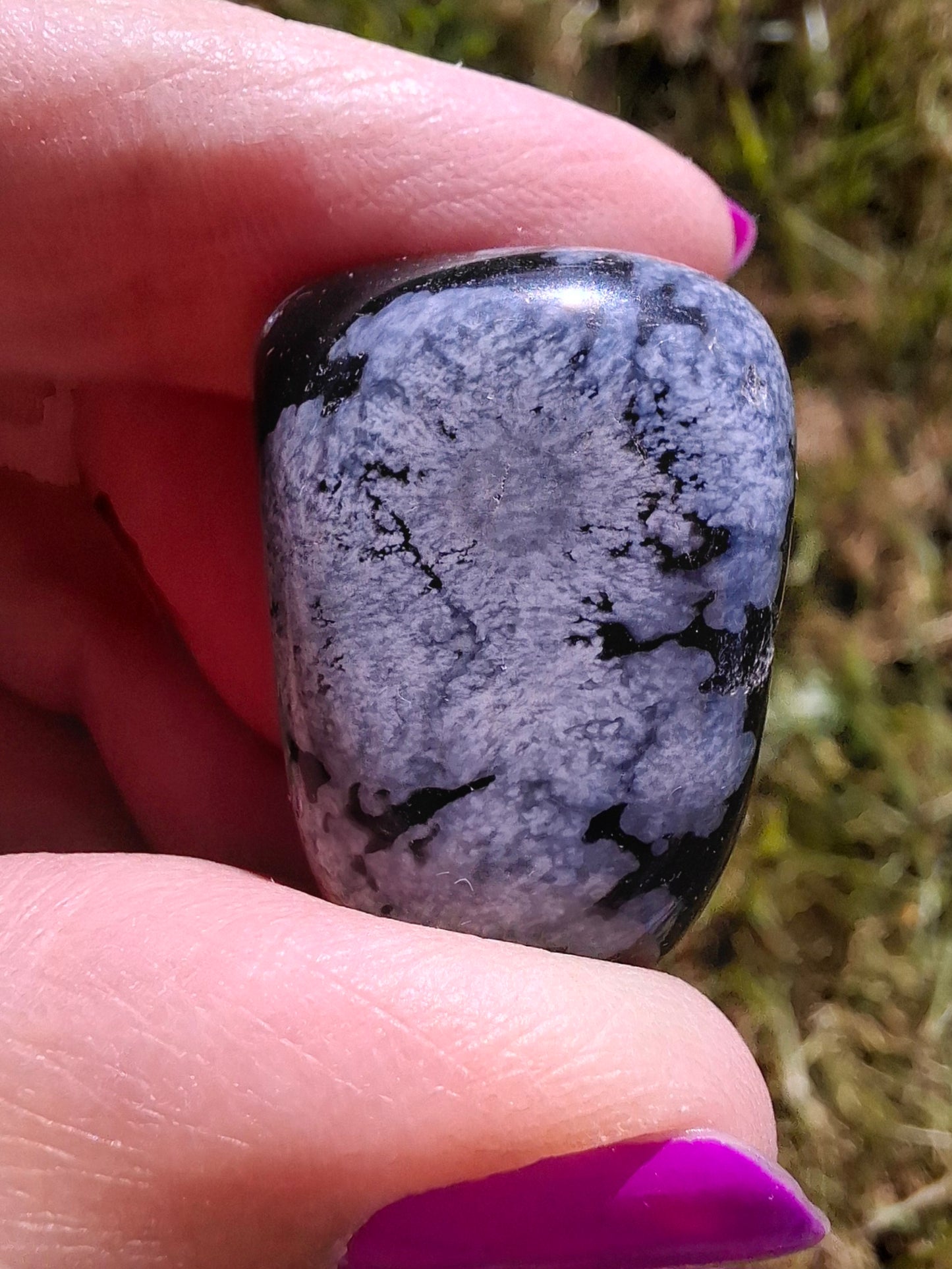 Snowflake Obsidian, Tumble Stone, Crystal (Ref: T97)